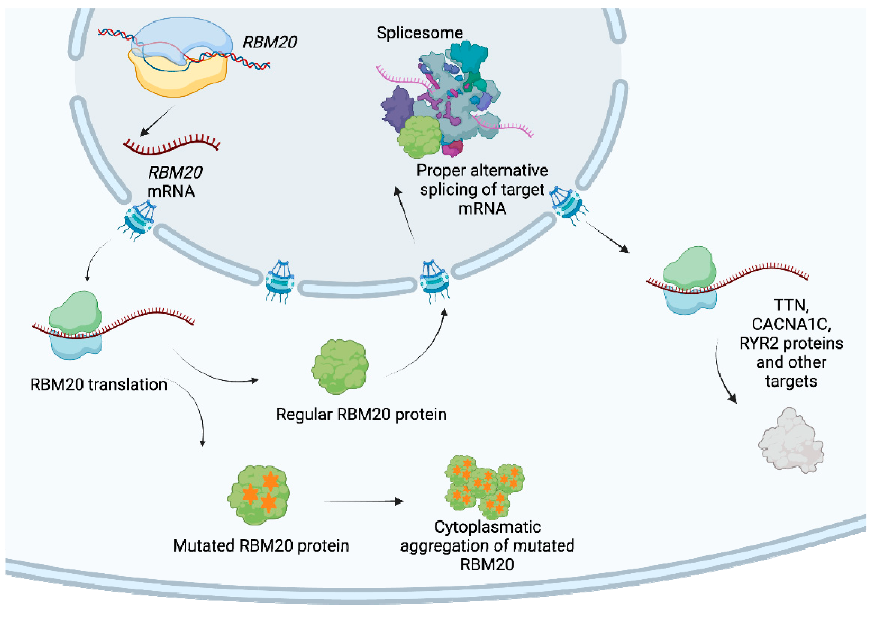 Biomolecules 14 00702 g003 Biomolecules 14 00702 g003