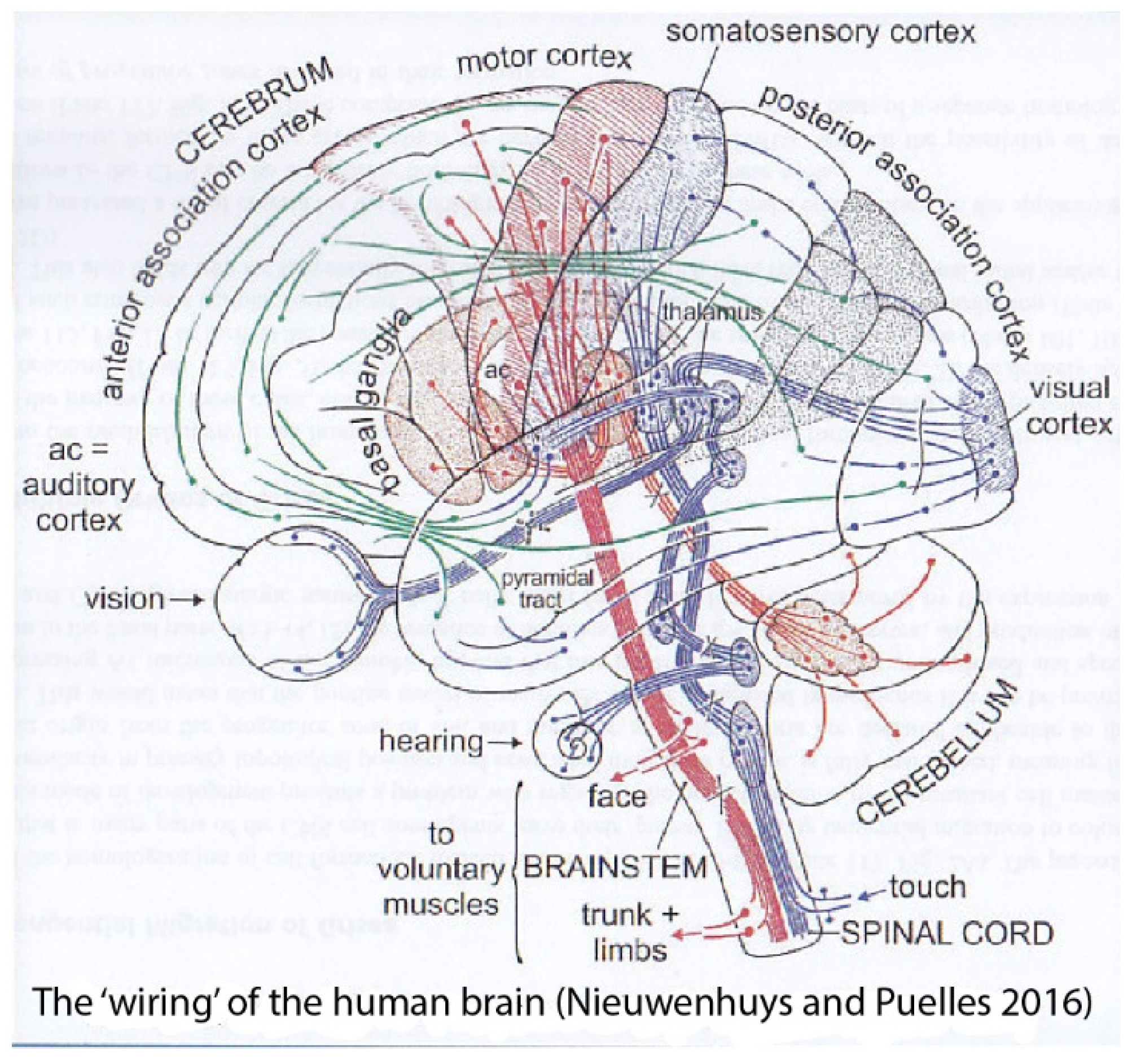 Biomolecules 14 00708 g003