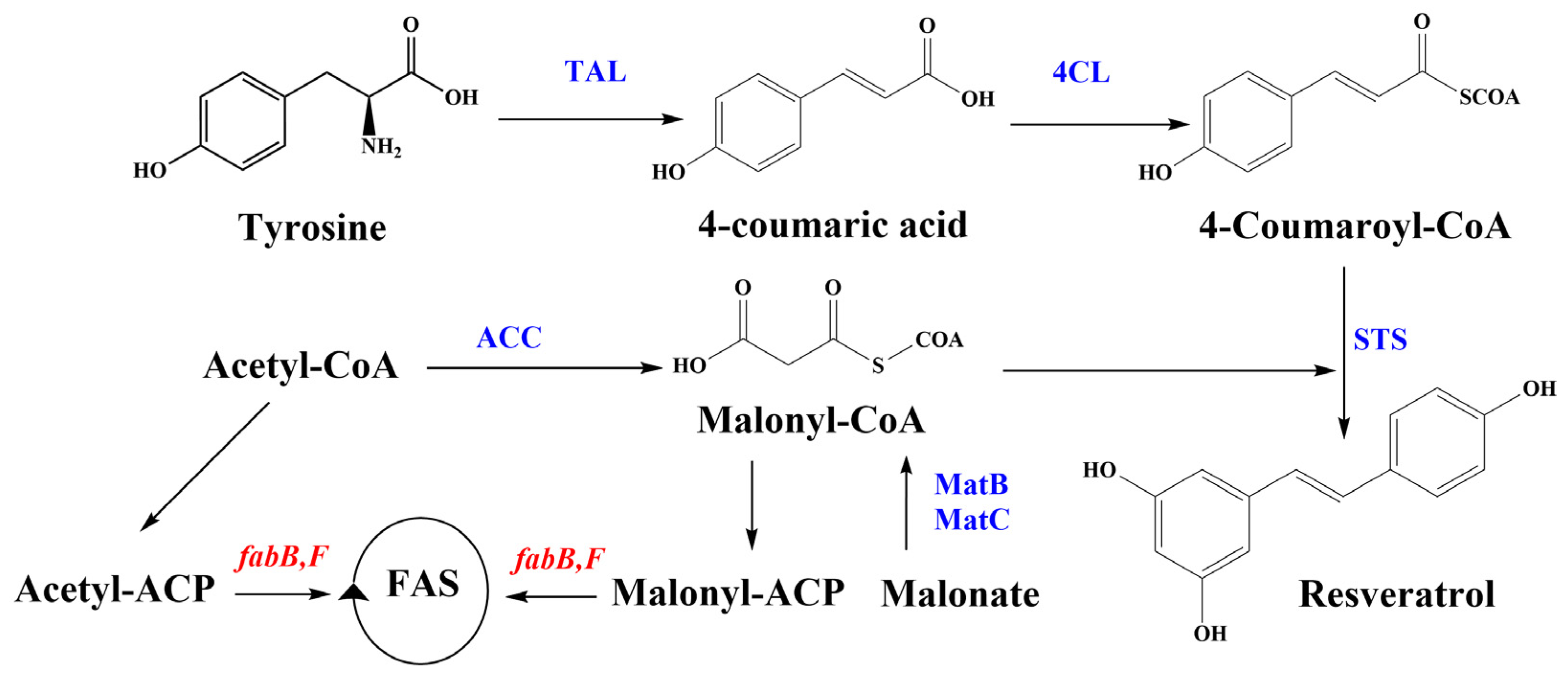 Biomolecules 14 00712 g001 Biomolecules 14 00712 g001