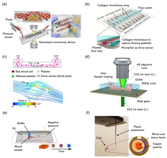 Biomolecules 14 00714 g003