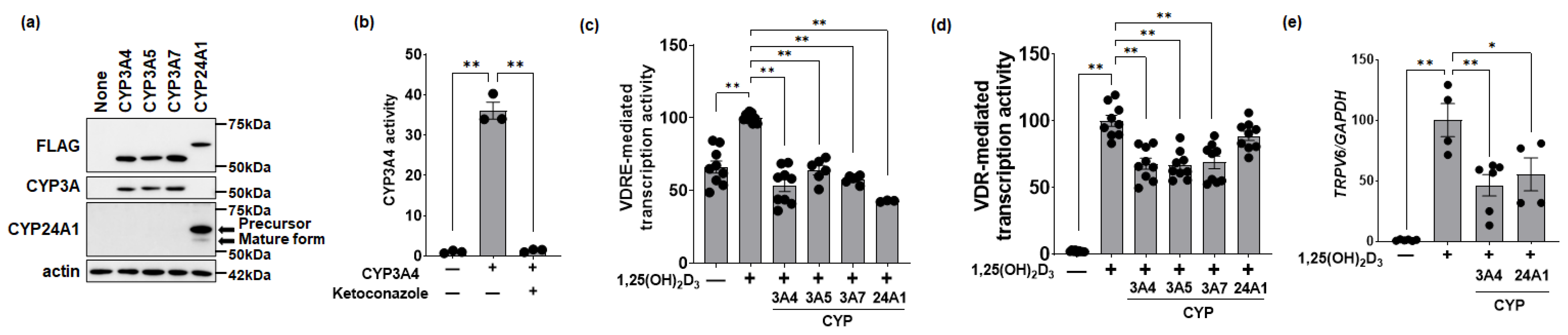 Biomolecules 14 00717 g001