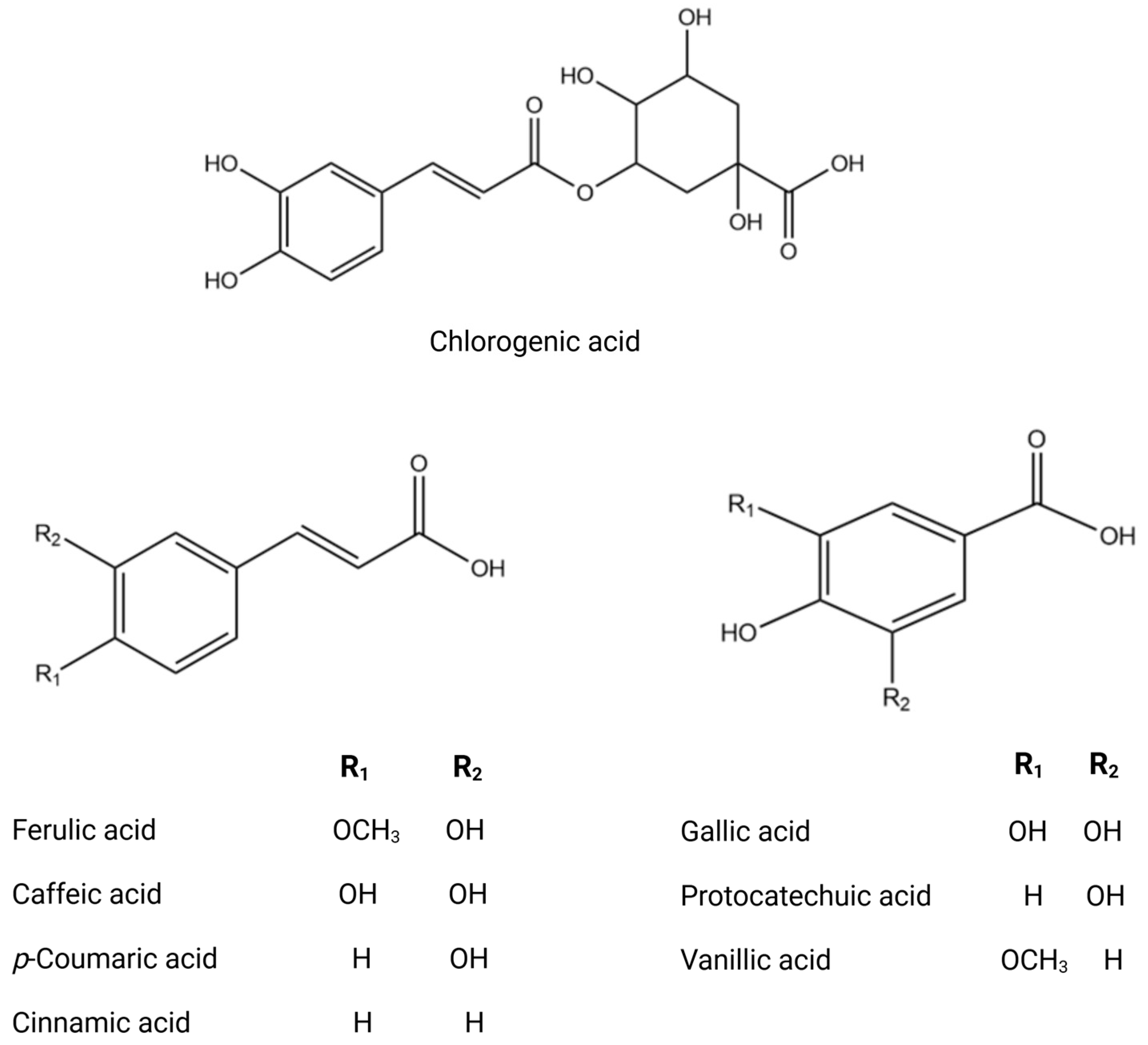 Biomolecules 14 00722 g003