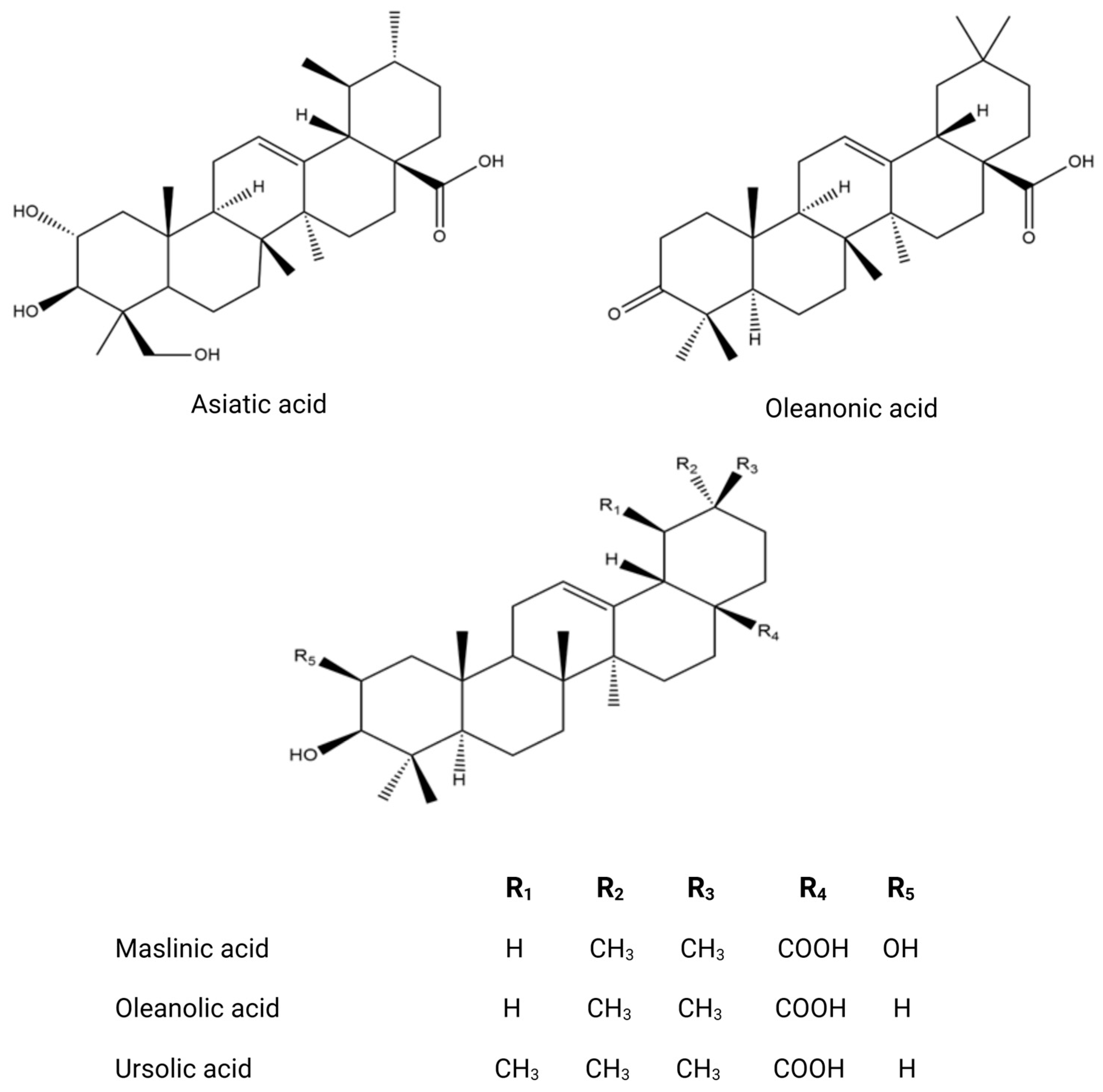 Biomolecules 14 00722 g005