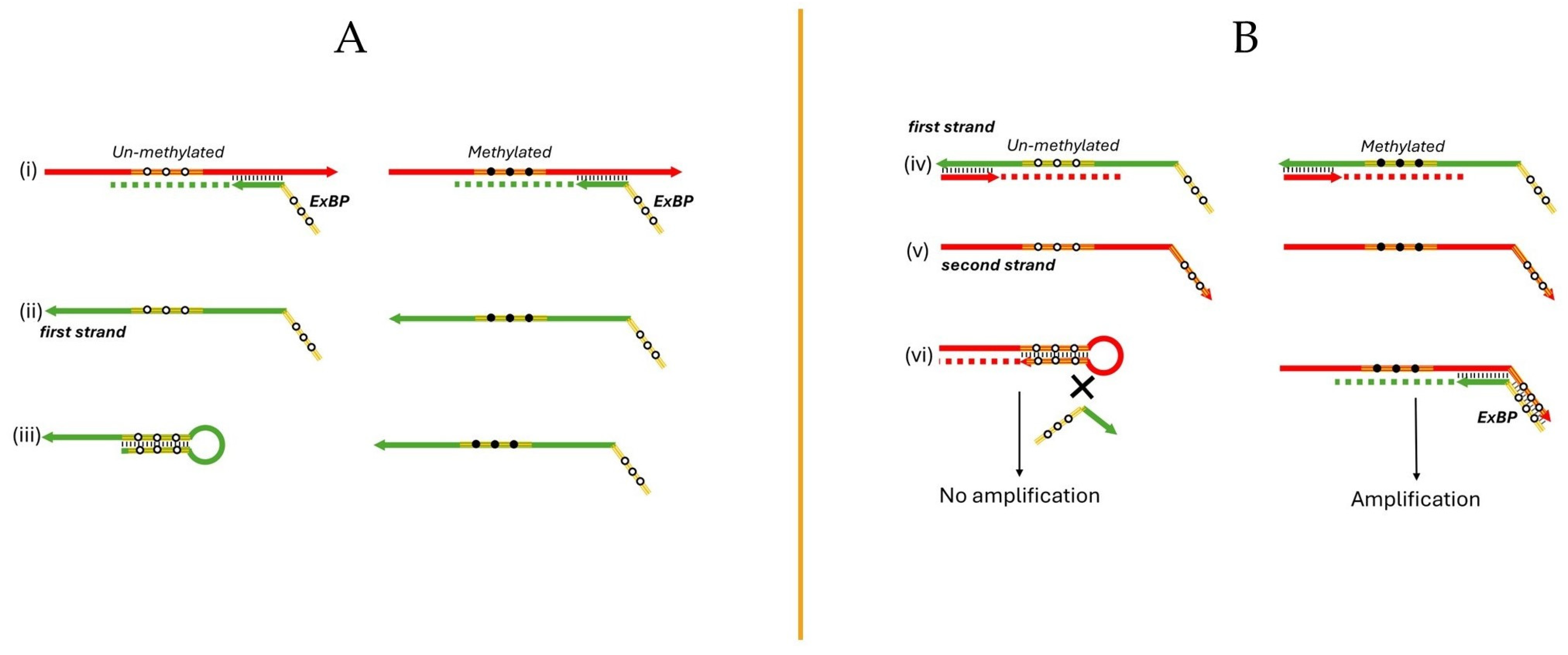 Biomolecules 14 00729 g001