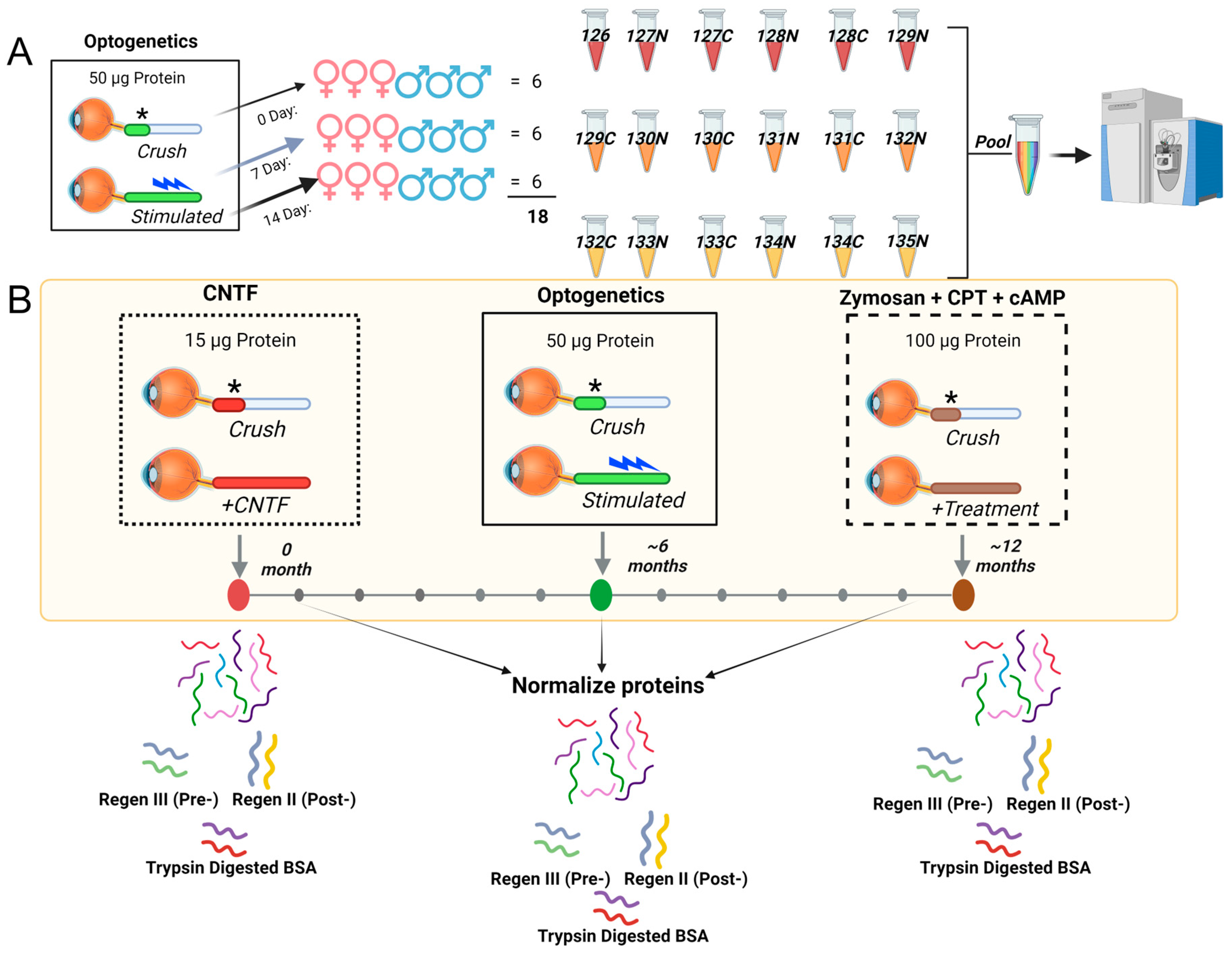 Biomolecules 14 00735 g001
