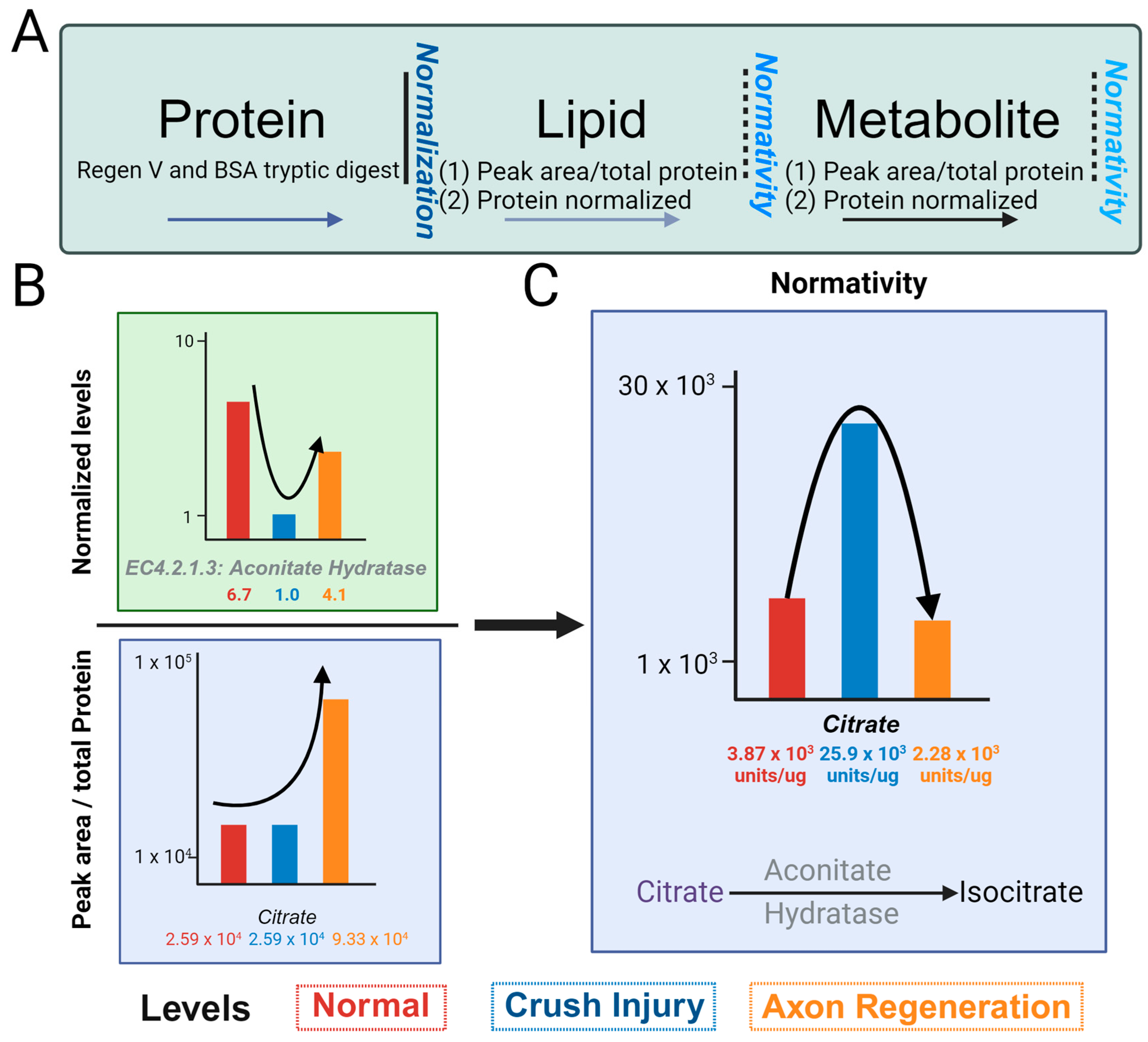 Biomolecules 14 00735 g003