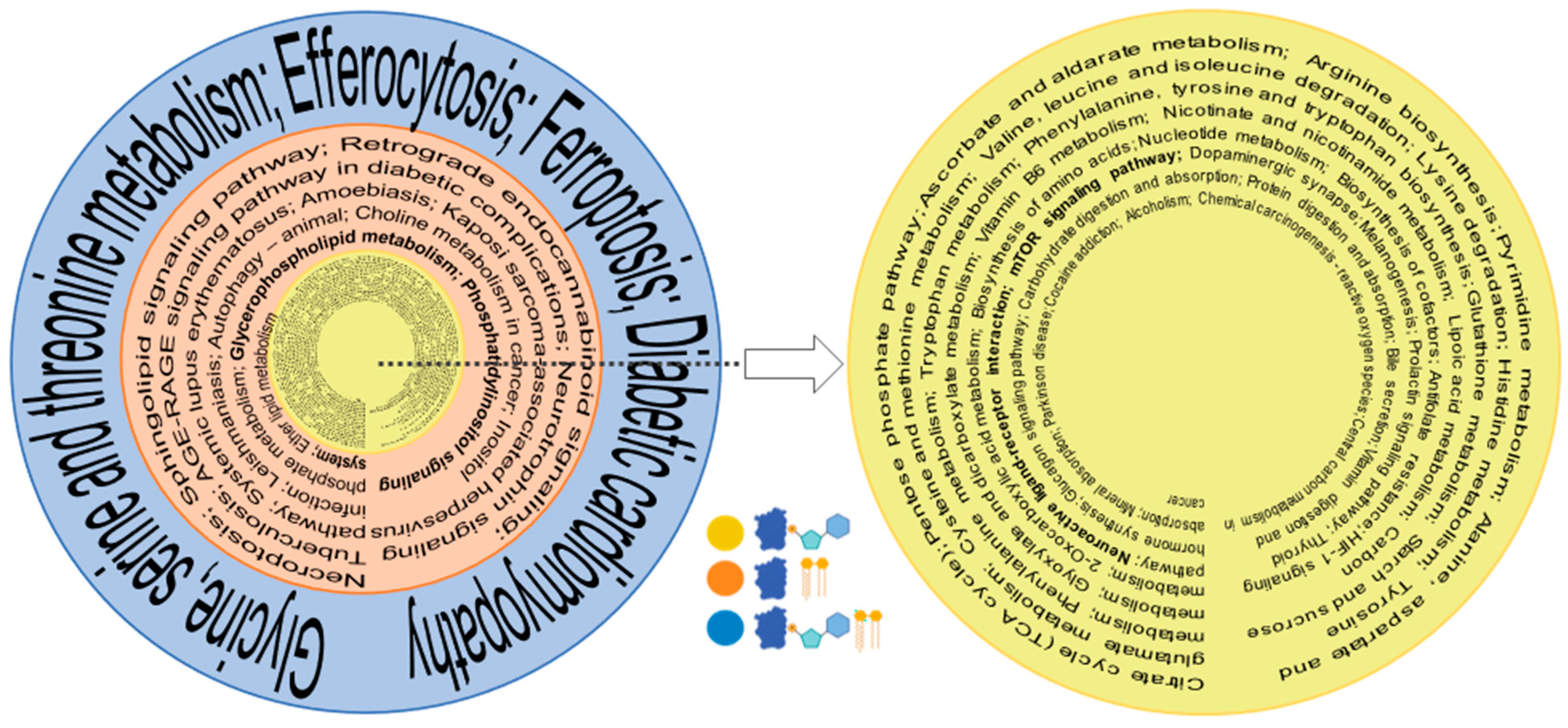 Biomolecules 14 00735 g005