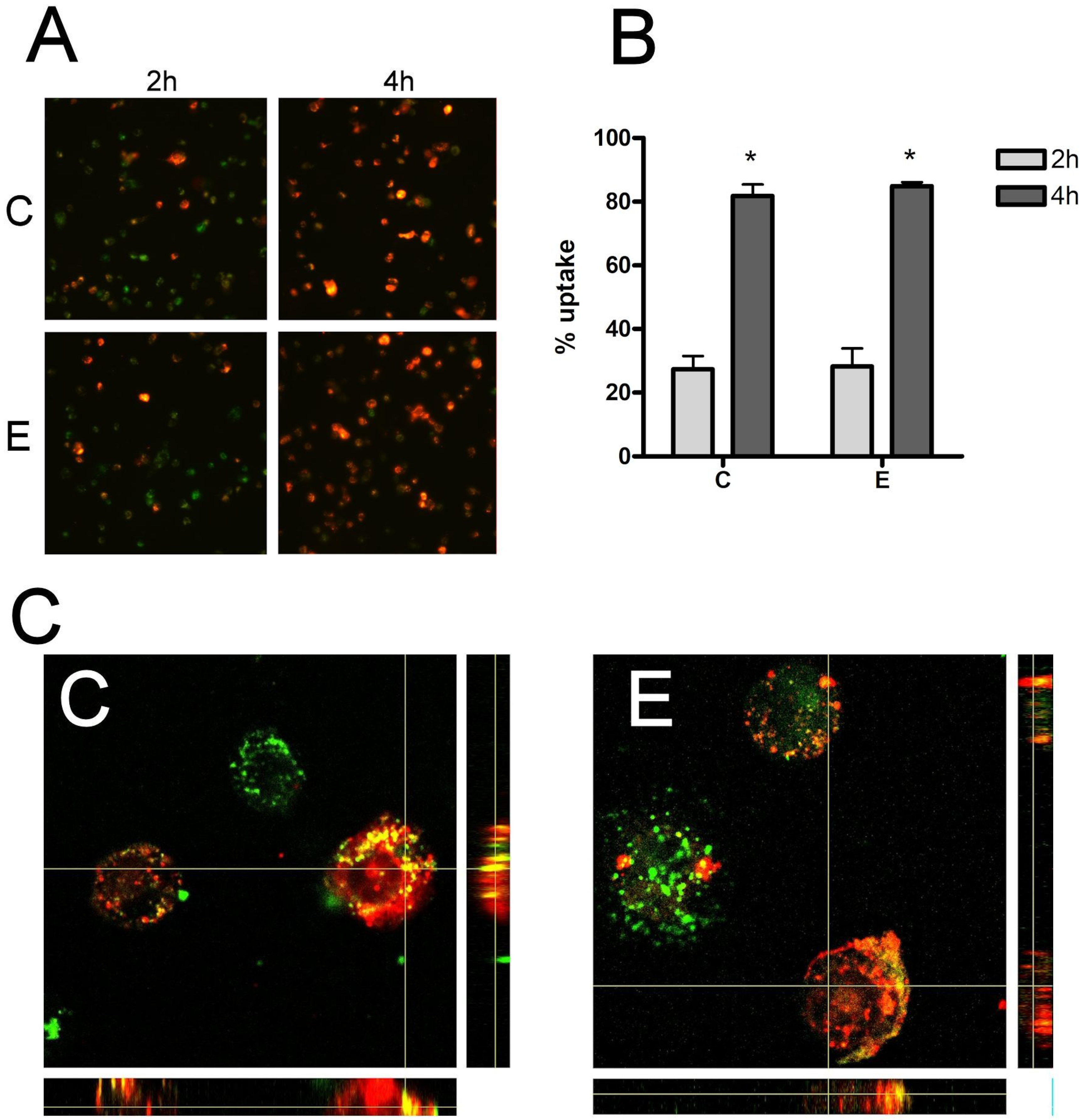 Biomolecules 14 00737 g002