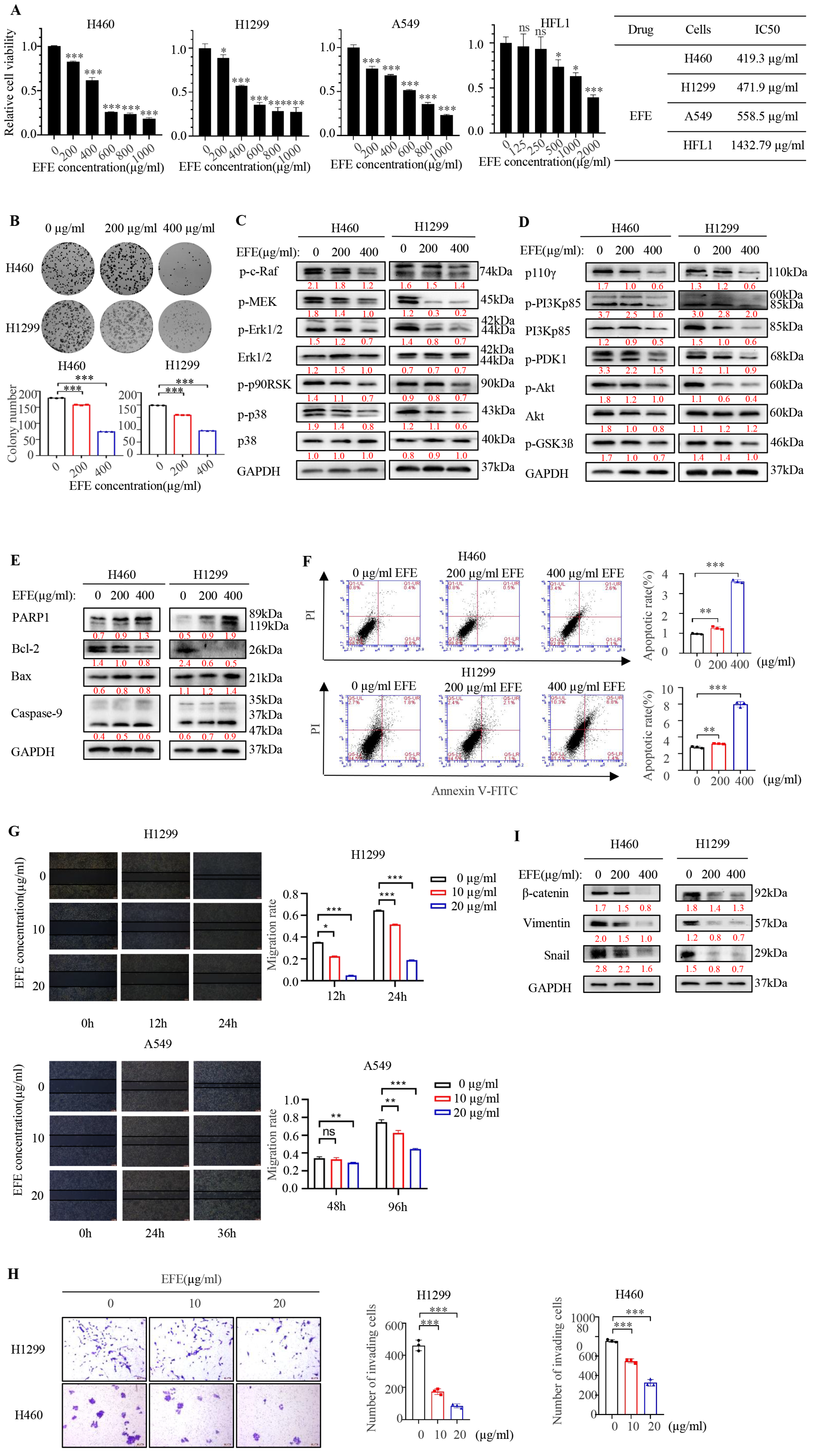 Biomolecules 14 00741 g001 Biomolecules 14 00741 g001