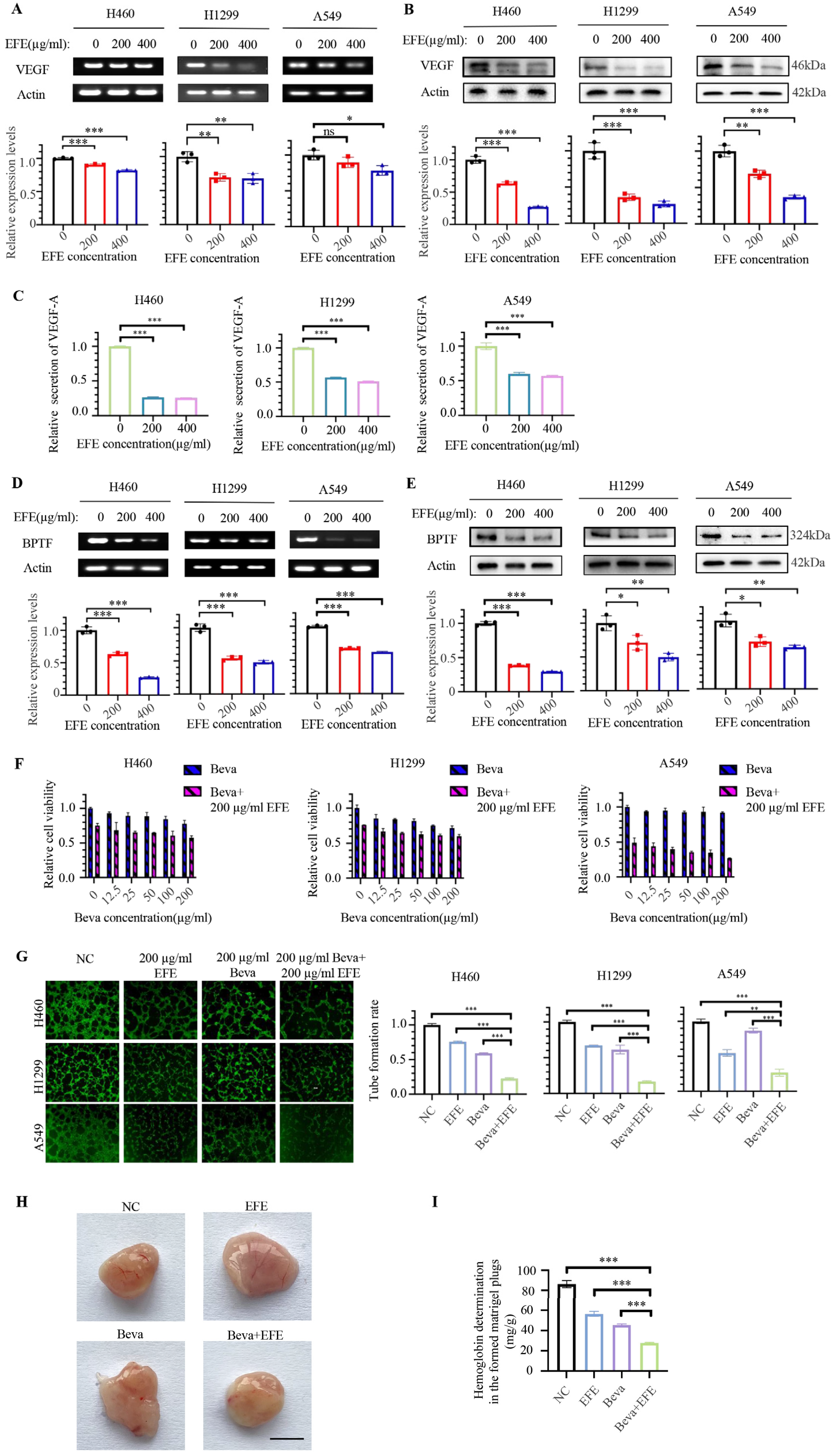Biomolecules 14 00741 g002 Biomolecules 14 00741 g002