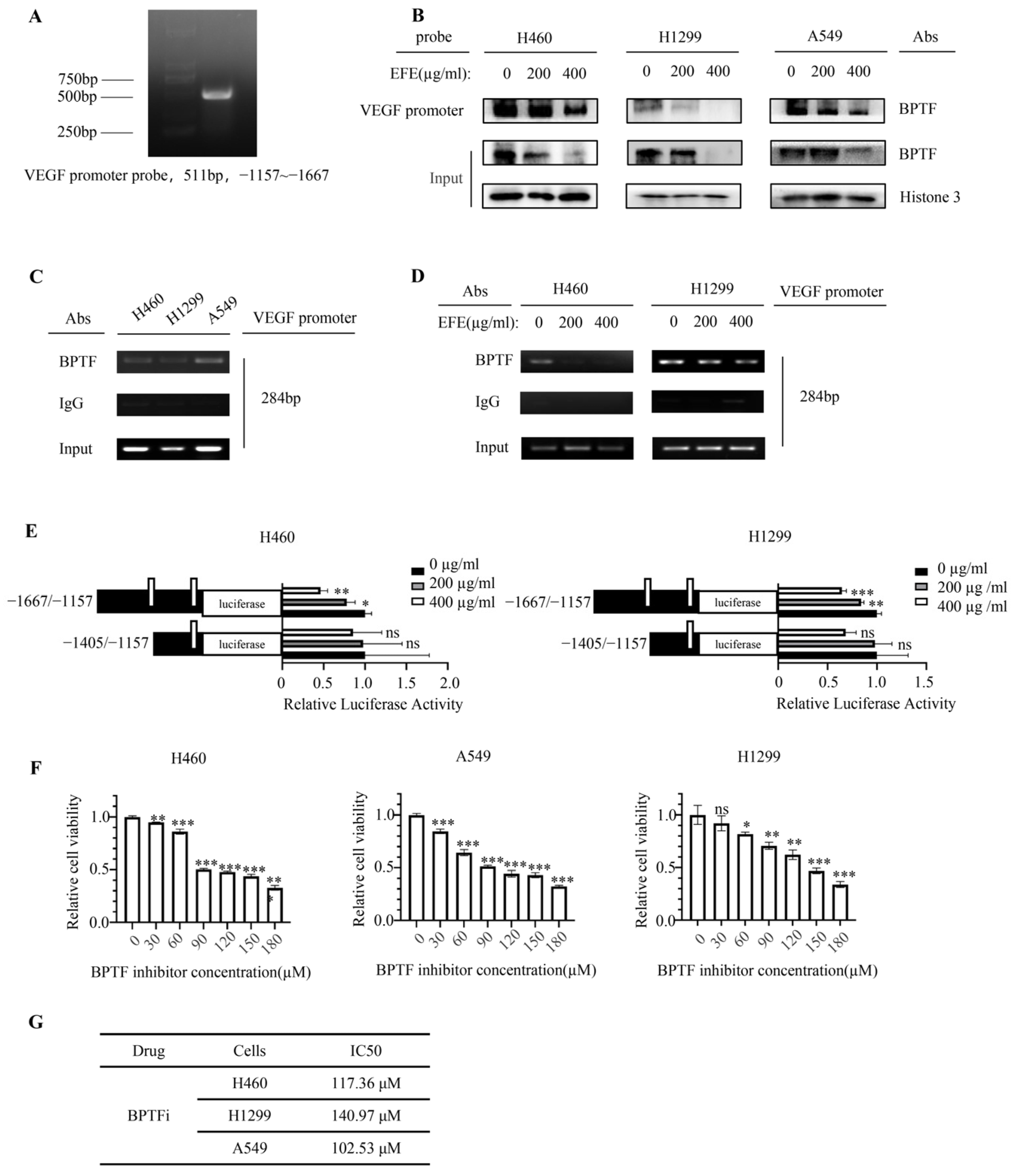 Biomolecules 14 00741 g003a Biomolecules 14 00741 g003a