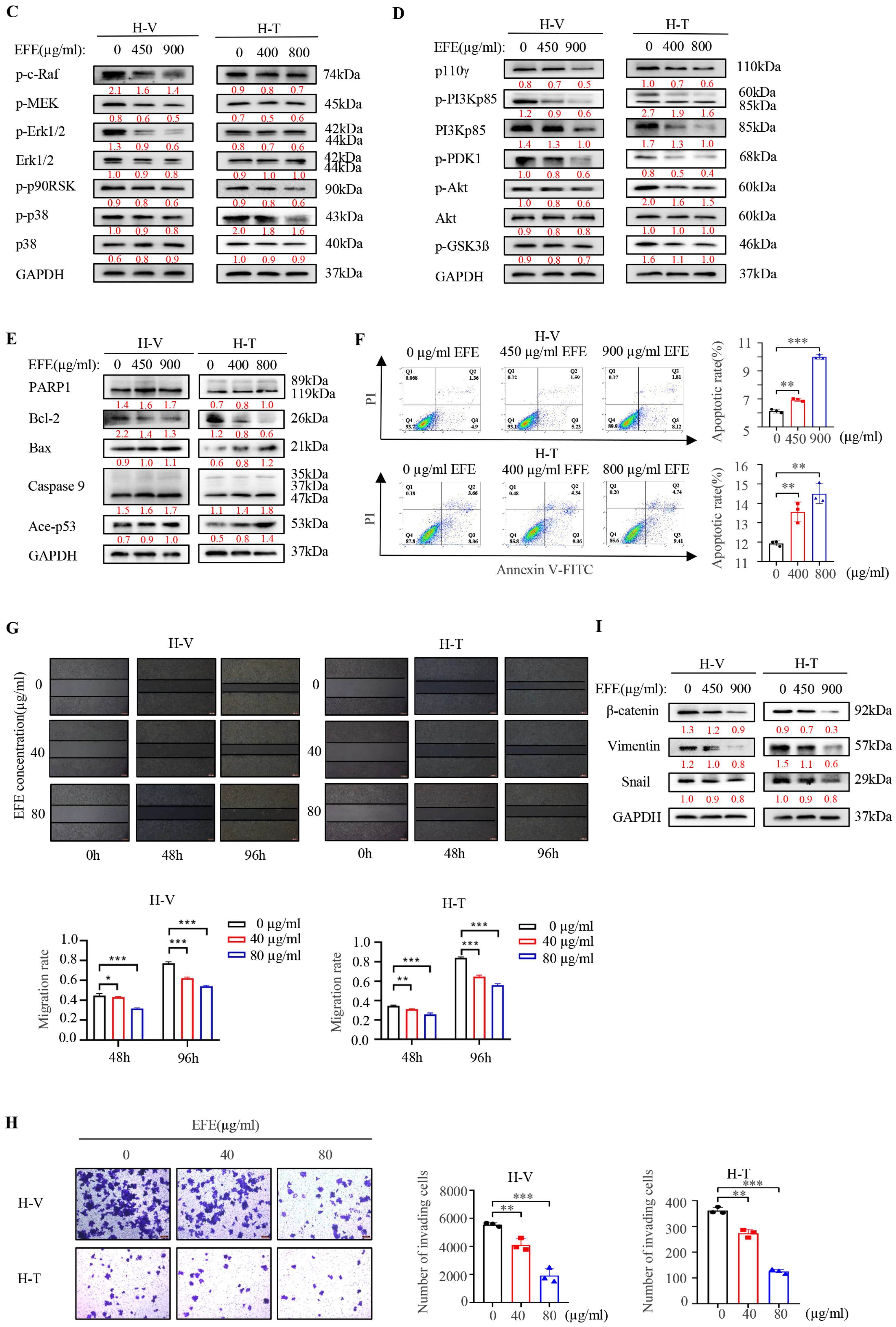 Biomolecules 14 00741 g004b Biomolecules 14 00741 g004b