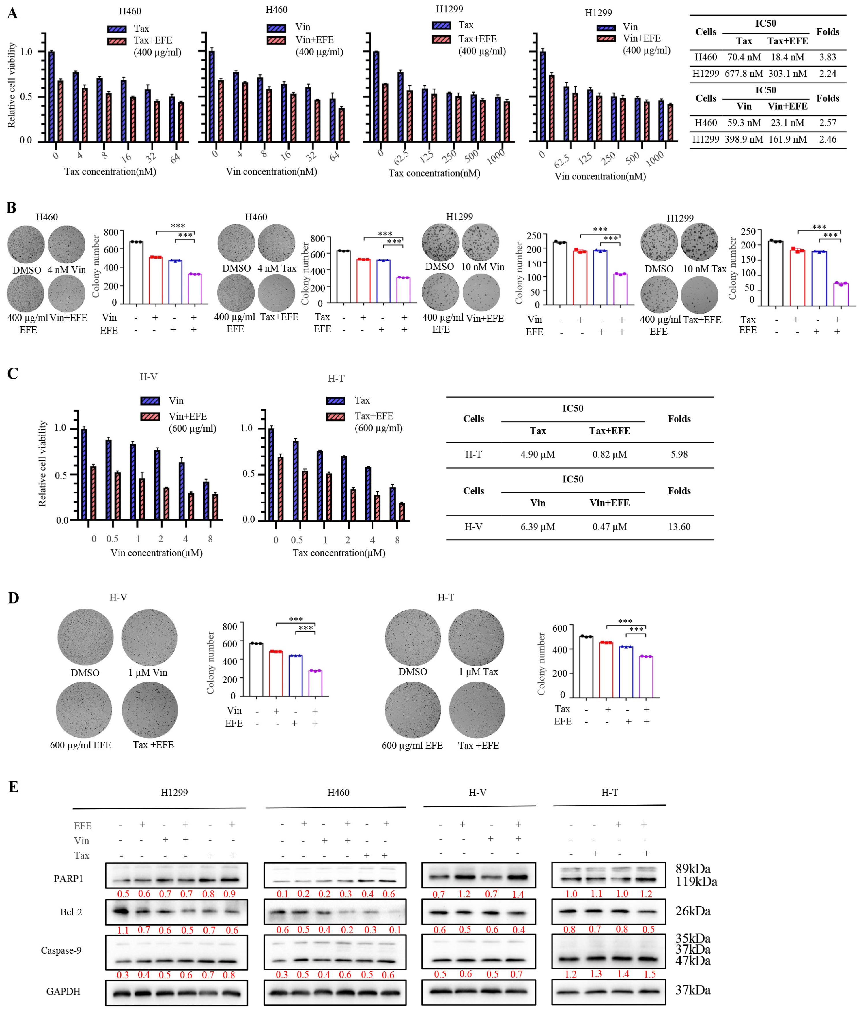 Biomolecules 14 00741 g005a Biomolecules 14 00741 g005a