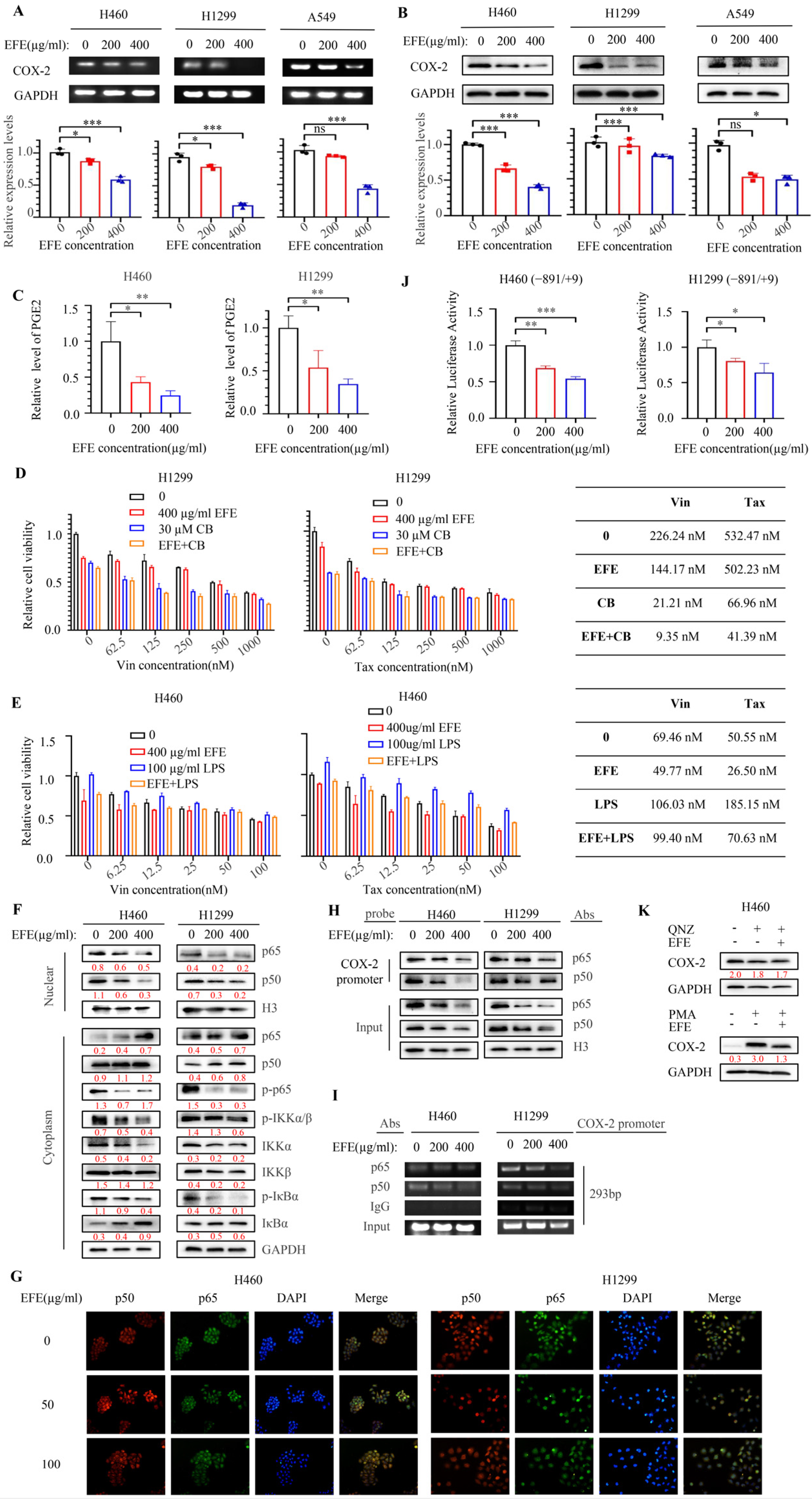 Biomolecules 14 00741 g006 Biomolecules 14 00741 g006
