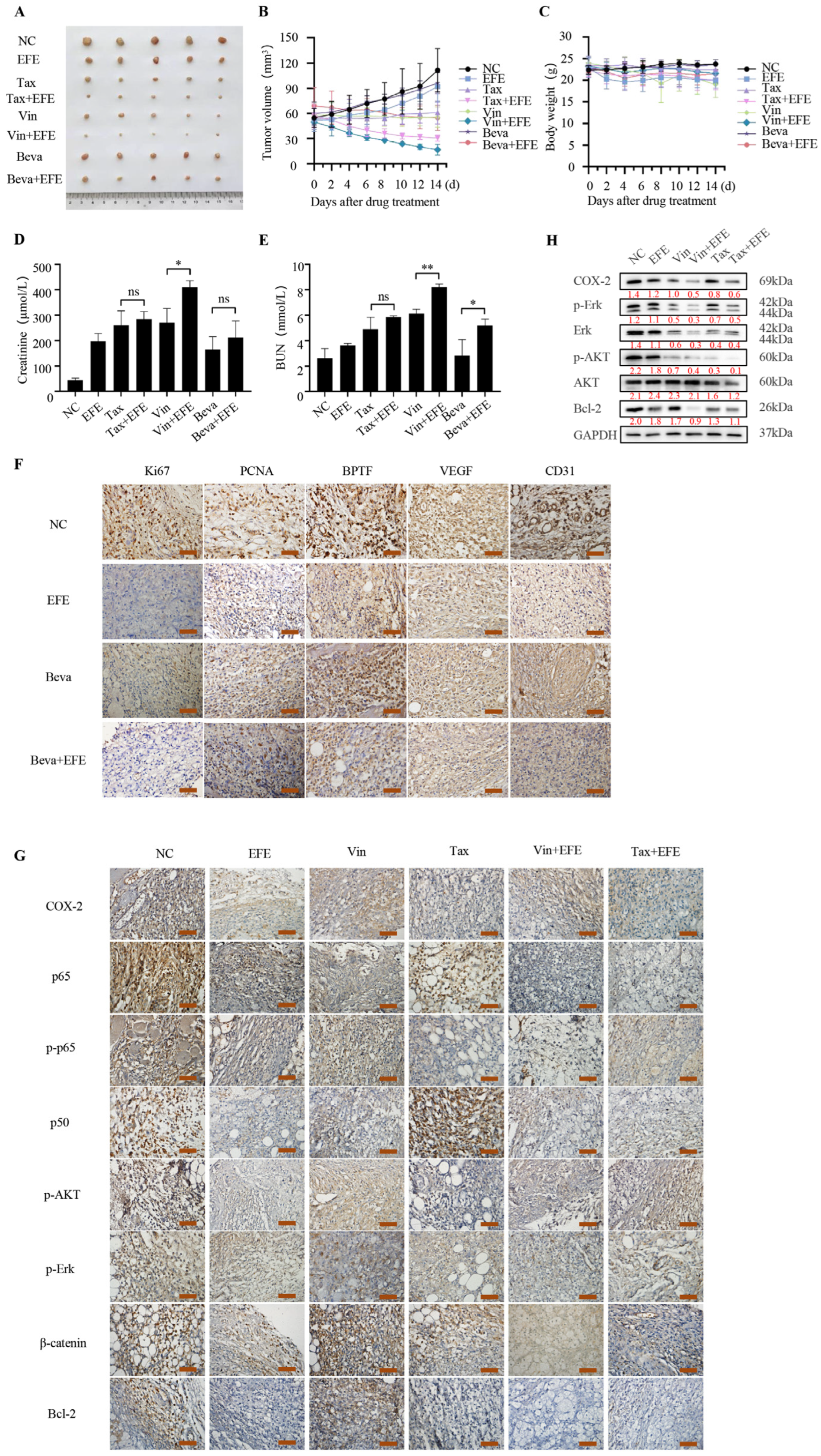 Biomolecules 14 00741 g007 Biomolecules 14 00741 g007