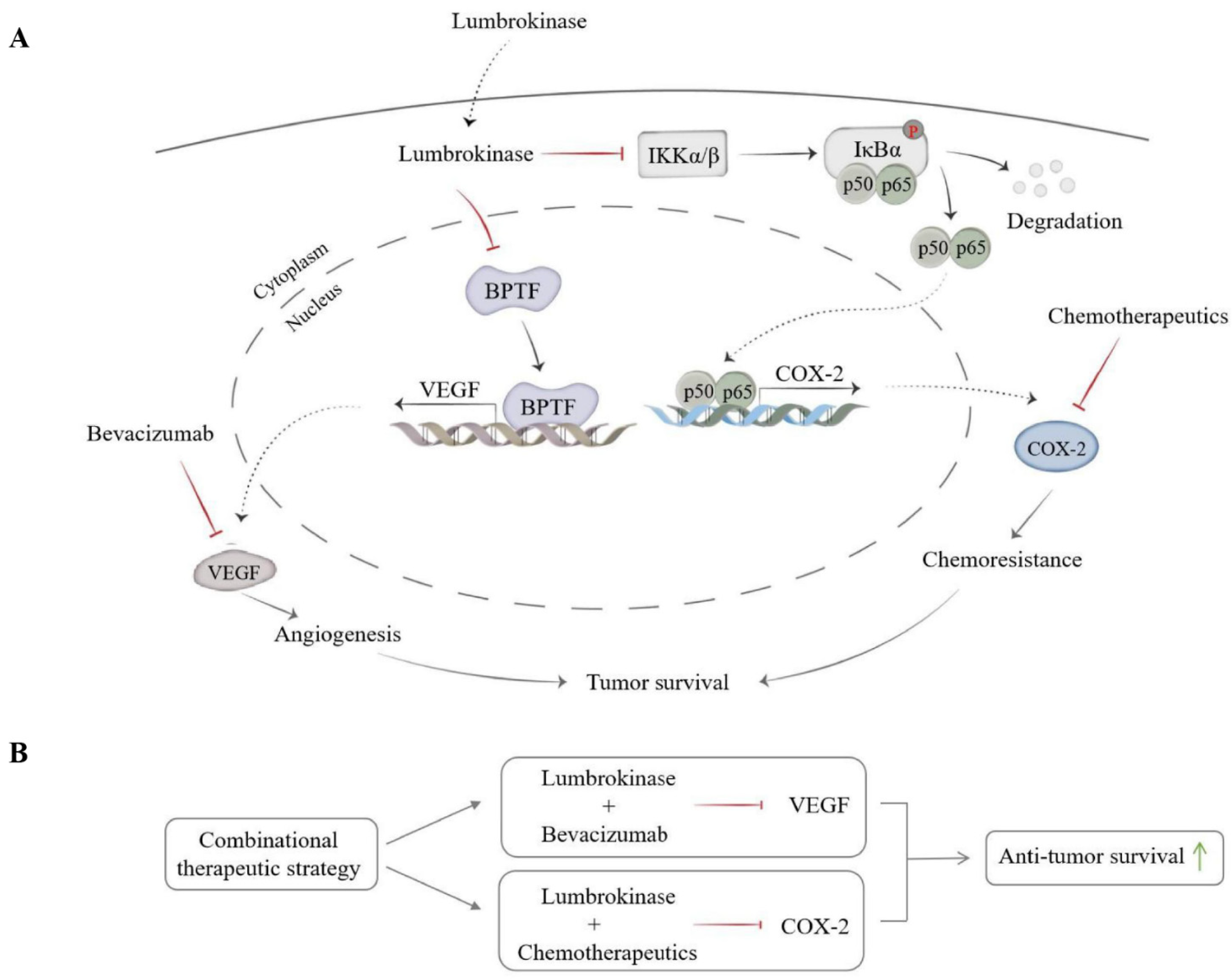 Biomolecules 14 00741 g008 Biomolecules 14 00741 g008