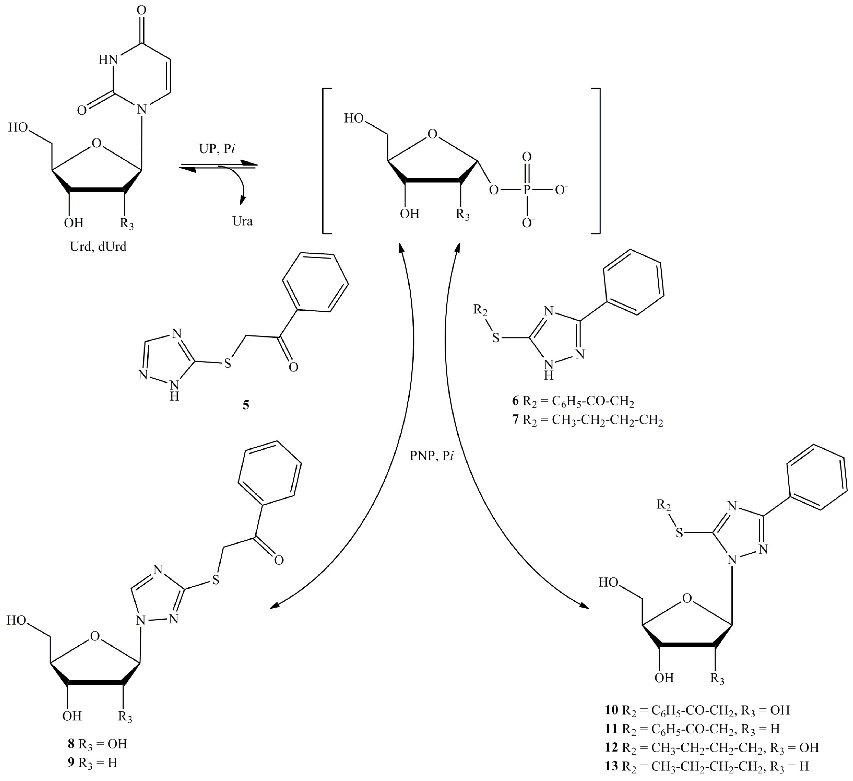 Biomolecules 14 00745 g002 Biomolecules 14 00745 g002