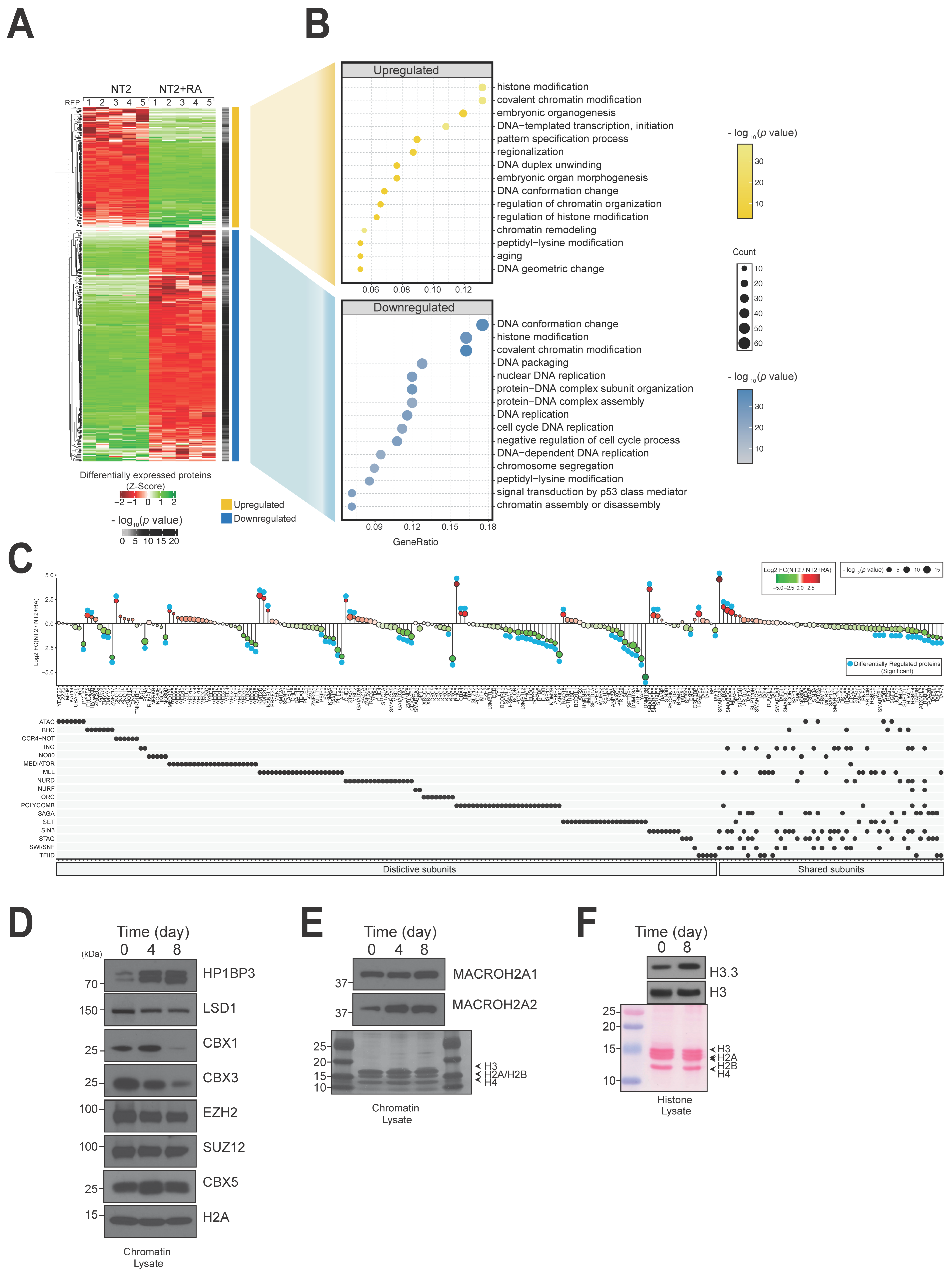 Biomolecules 14 00747 g004