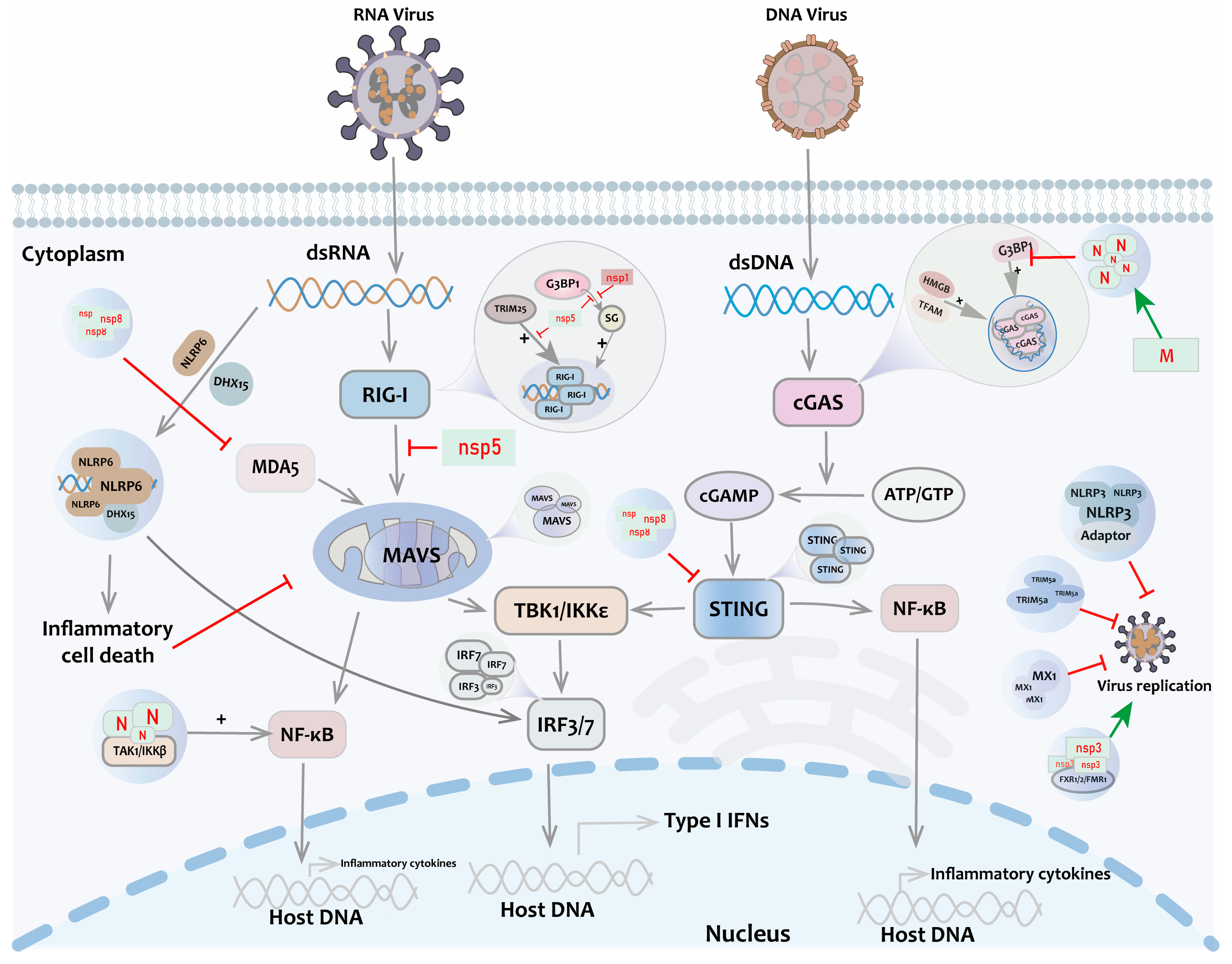 Biomolecules 14 00748 g002