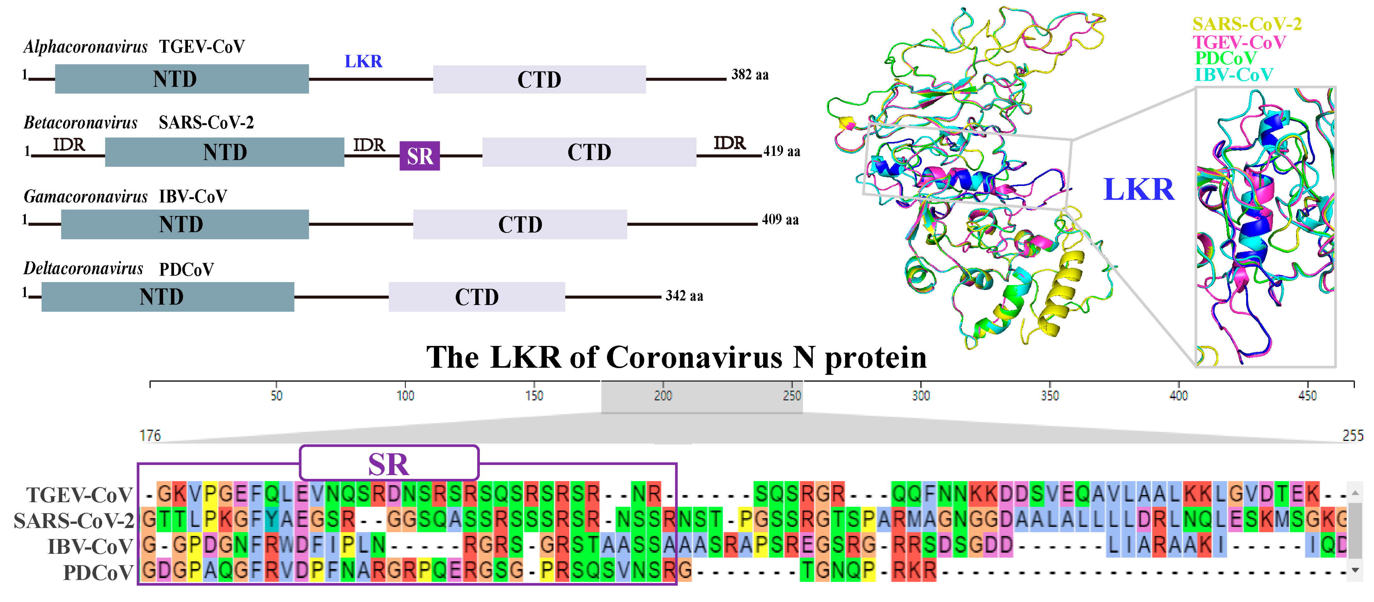 Biomolecules 14 00748 g003