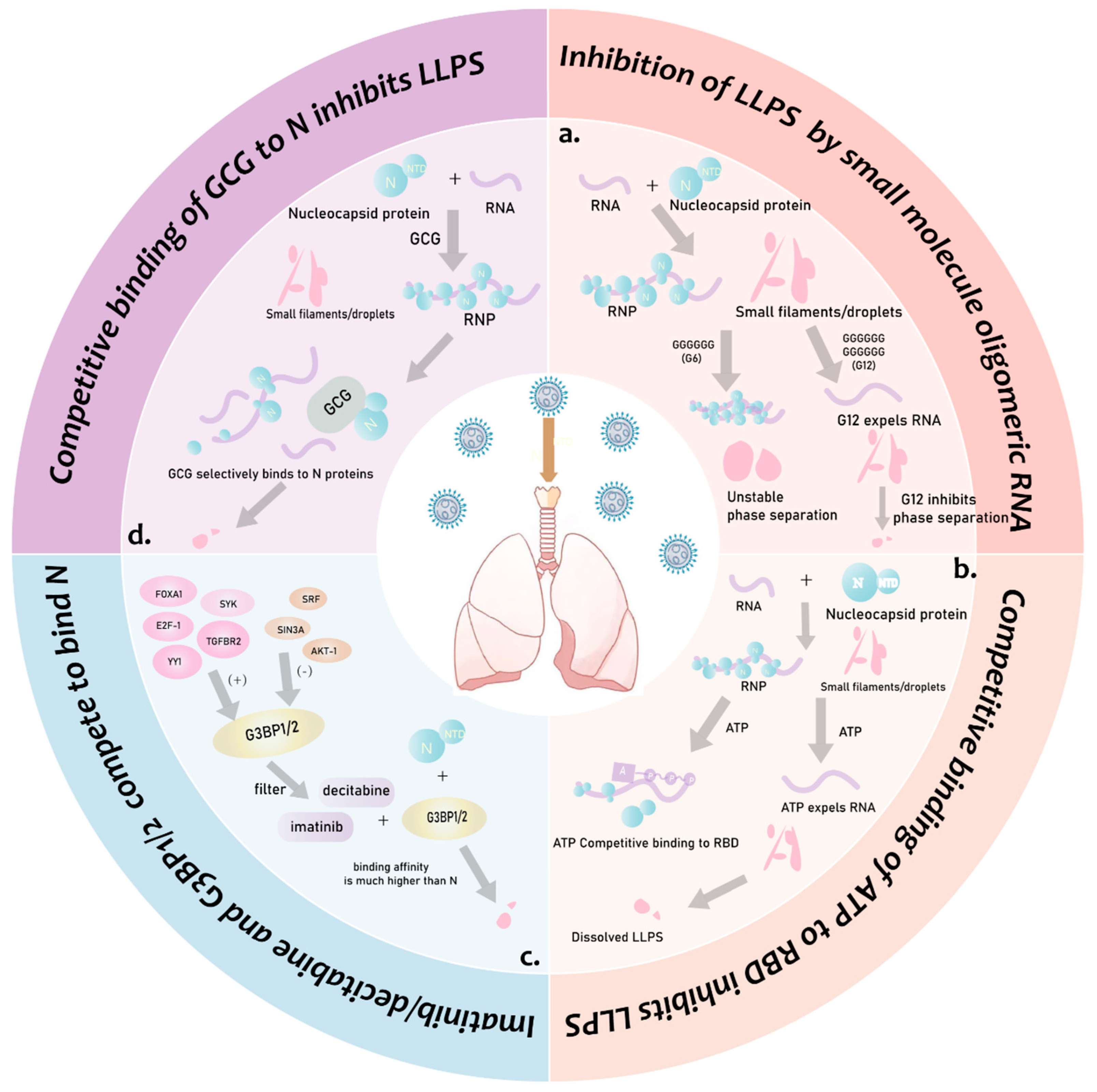 Biomolecules 14 00748 g004