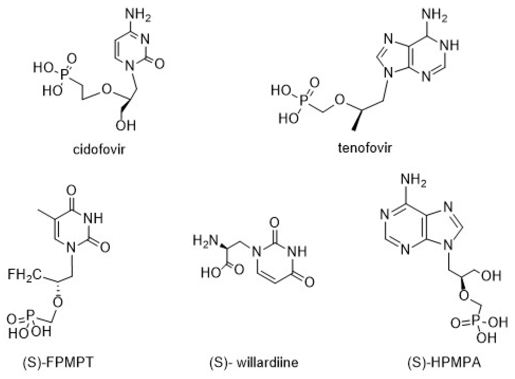 Biomolecules 14 00750 g001 Biomolecules 14 00750 g001