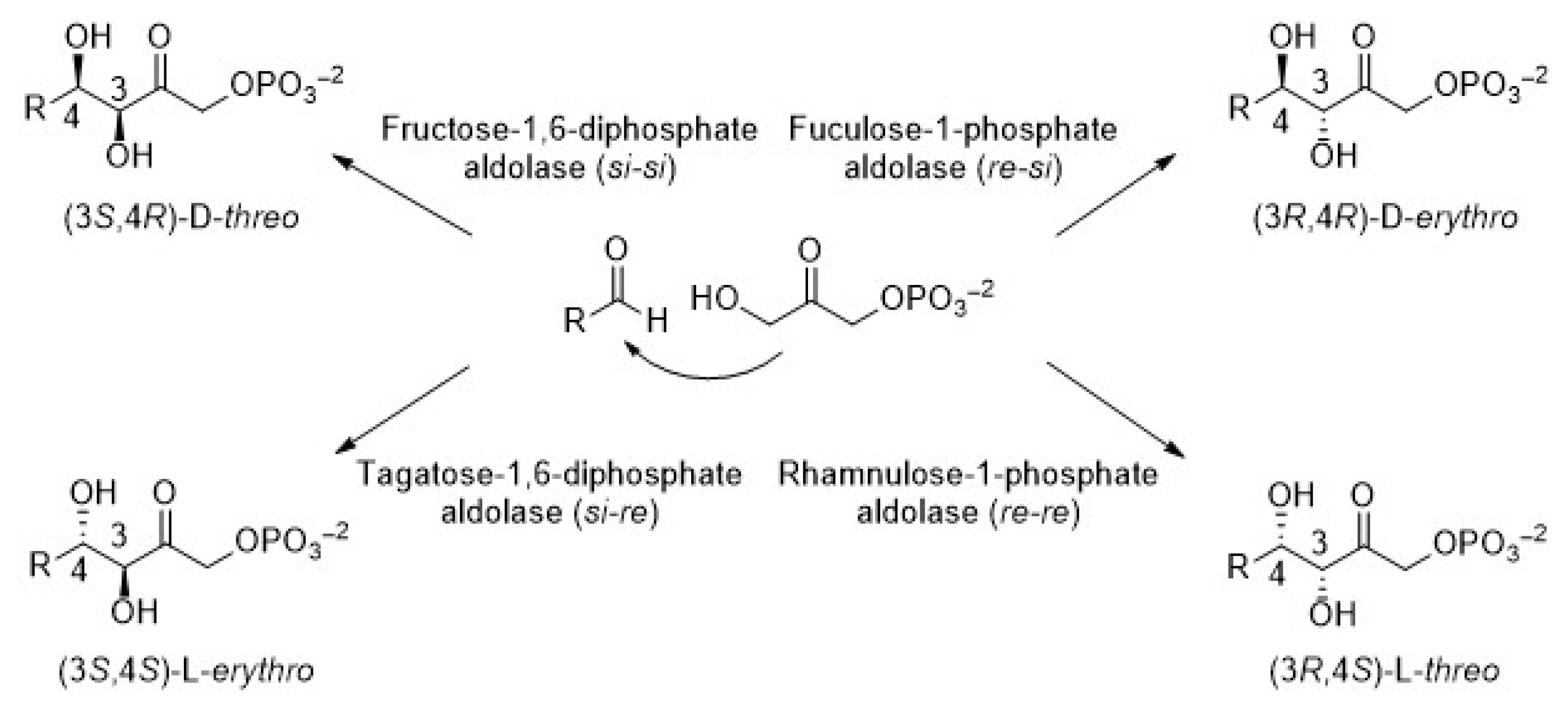 Biomolecules 14 00750 g002 Biomolecules 14 00750 g002