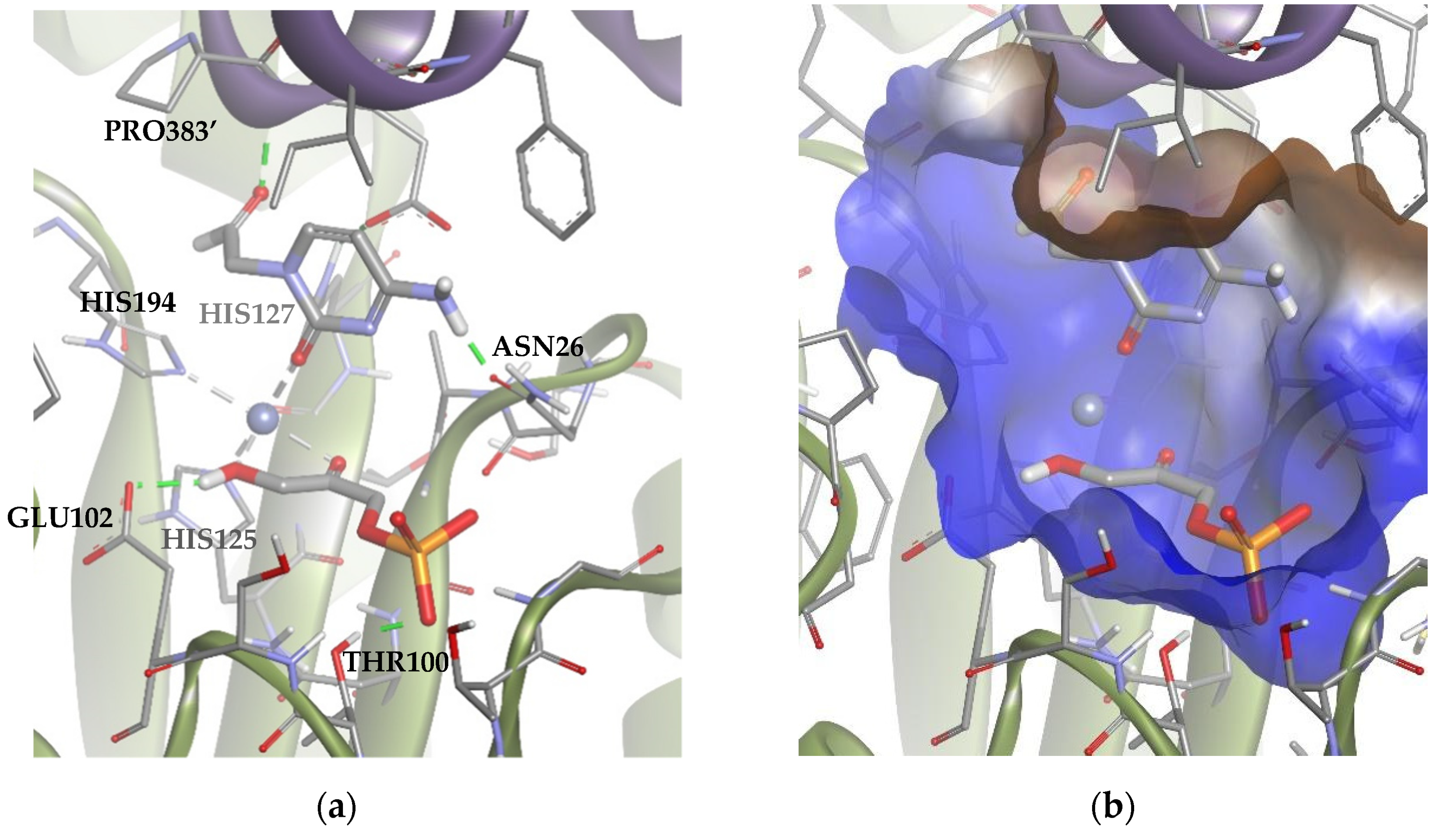 Biomolecules 14 00750 g010 Biomolecules 14 00750 g010