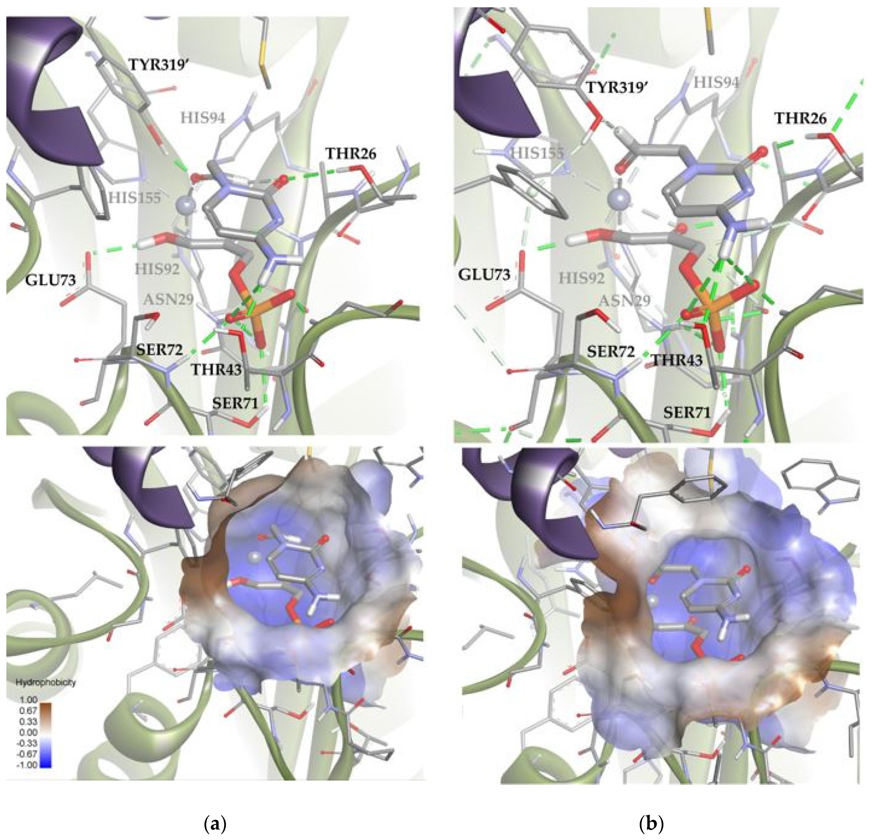 Biomolecules 14 00750 g013 Biomolecules 14 00750 g013