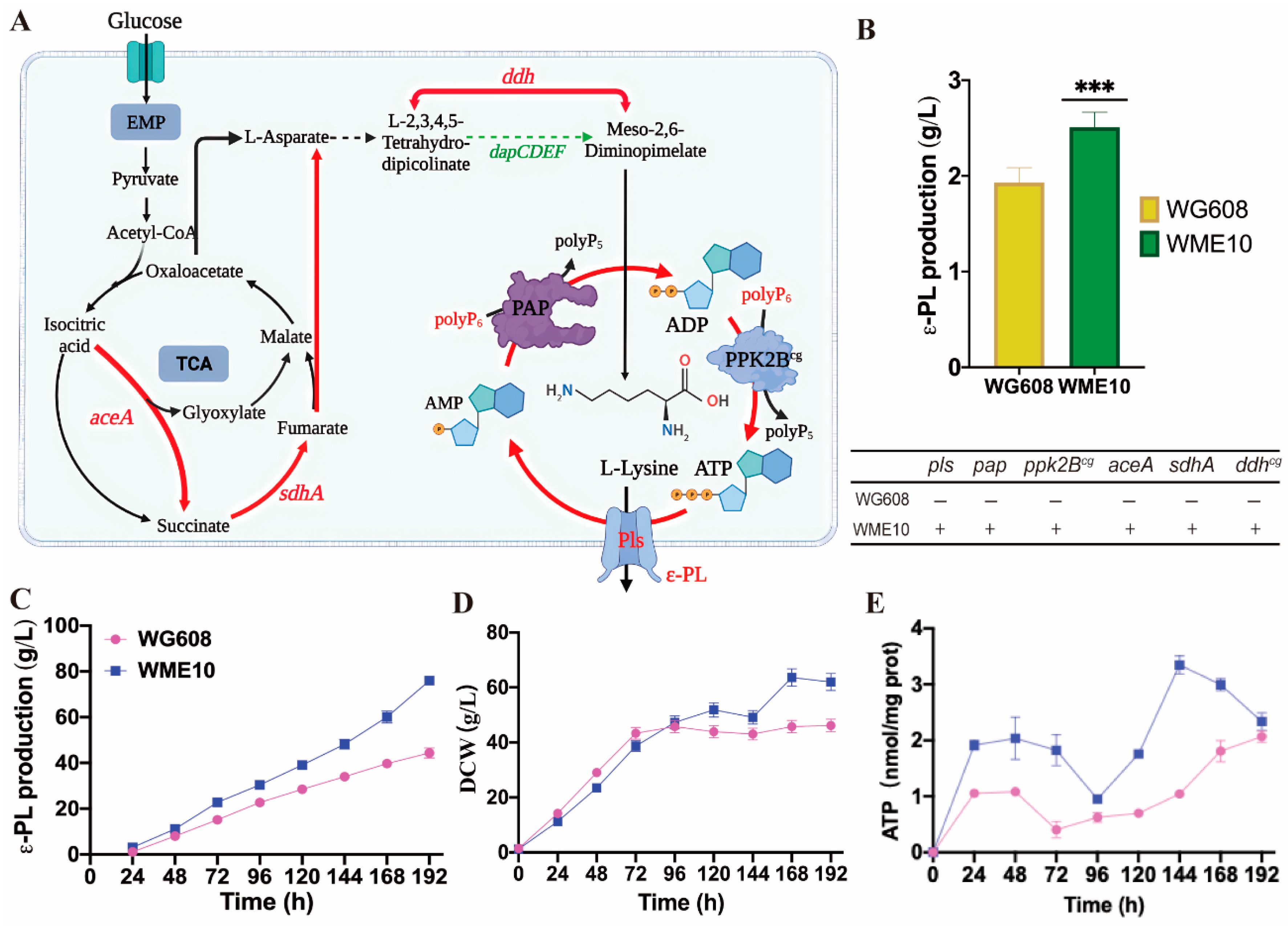 Biomolecules 14 00752 g006