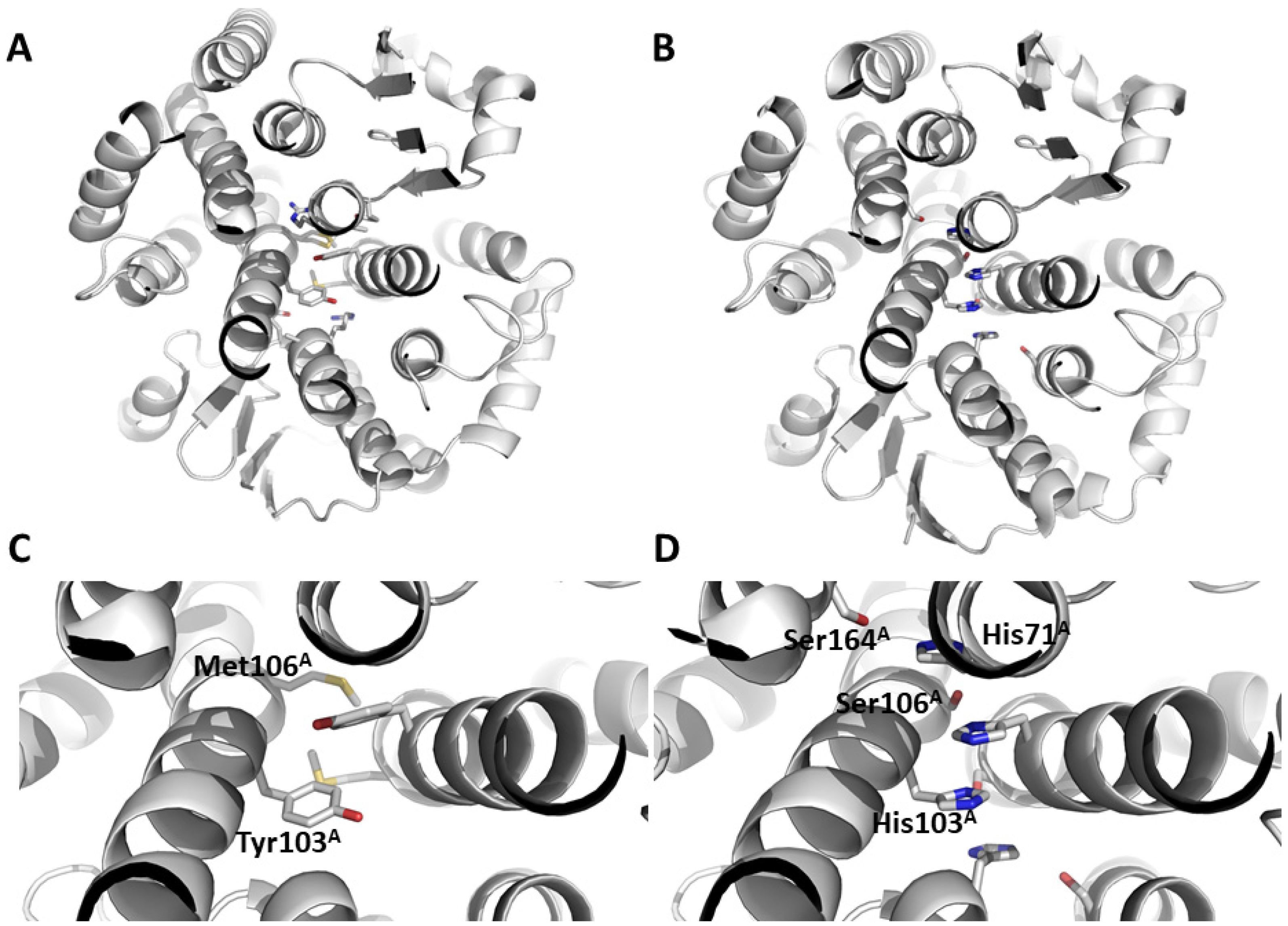 Biomolecules 14 00758 g001 Biomolecules 14 00758 g001