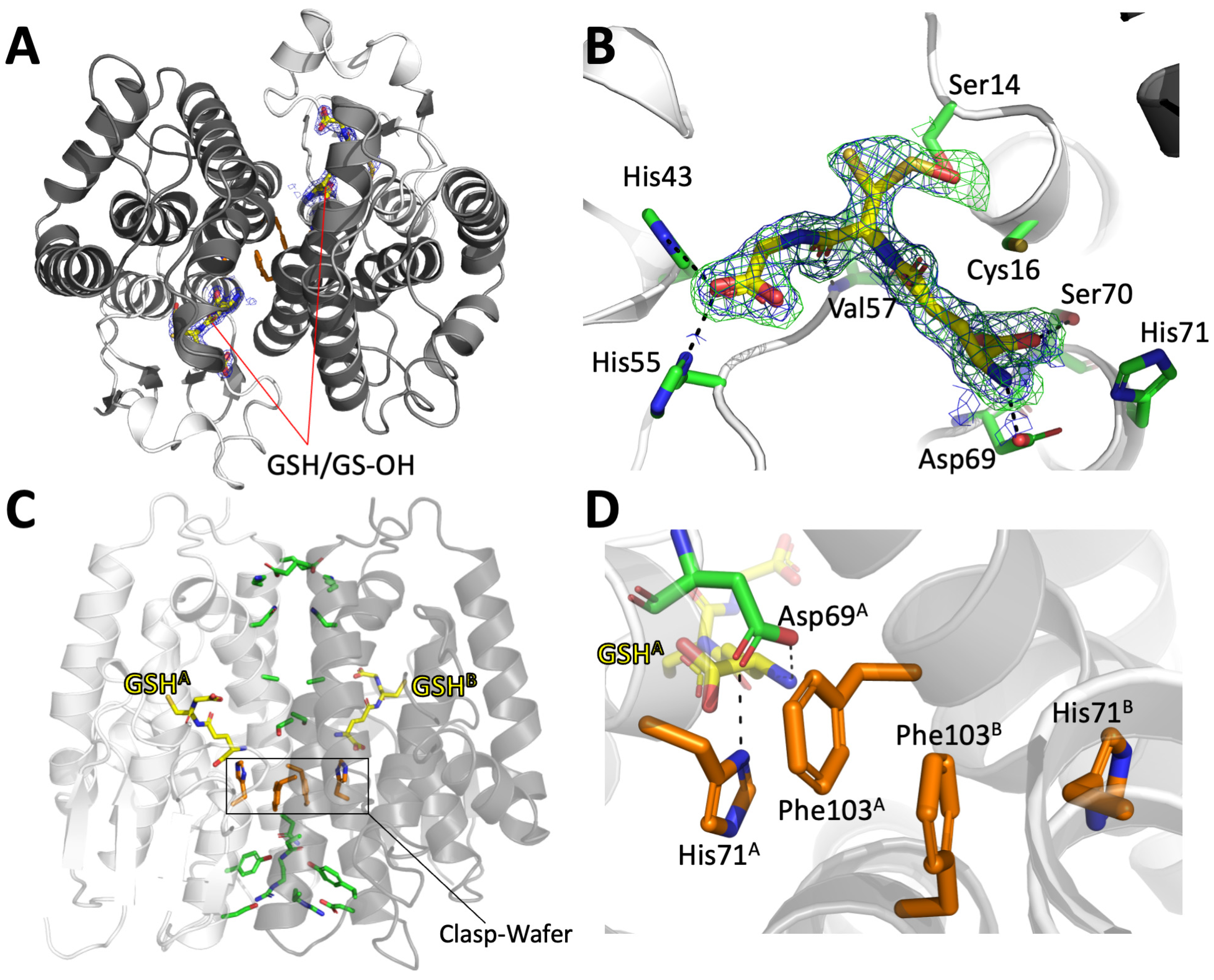 Biomolecules 14 00758 g003 Biomolecules 14 00758 g003