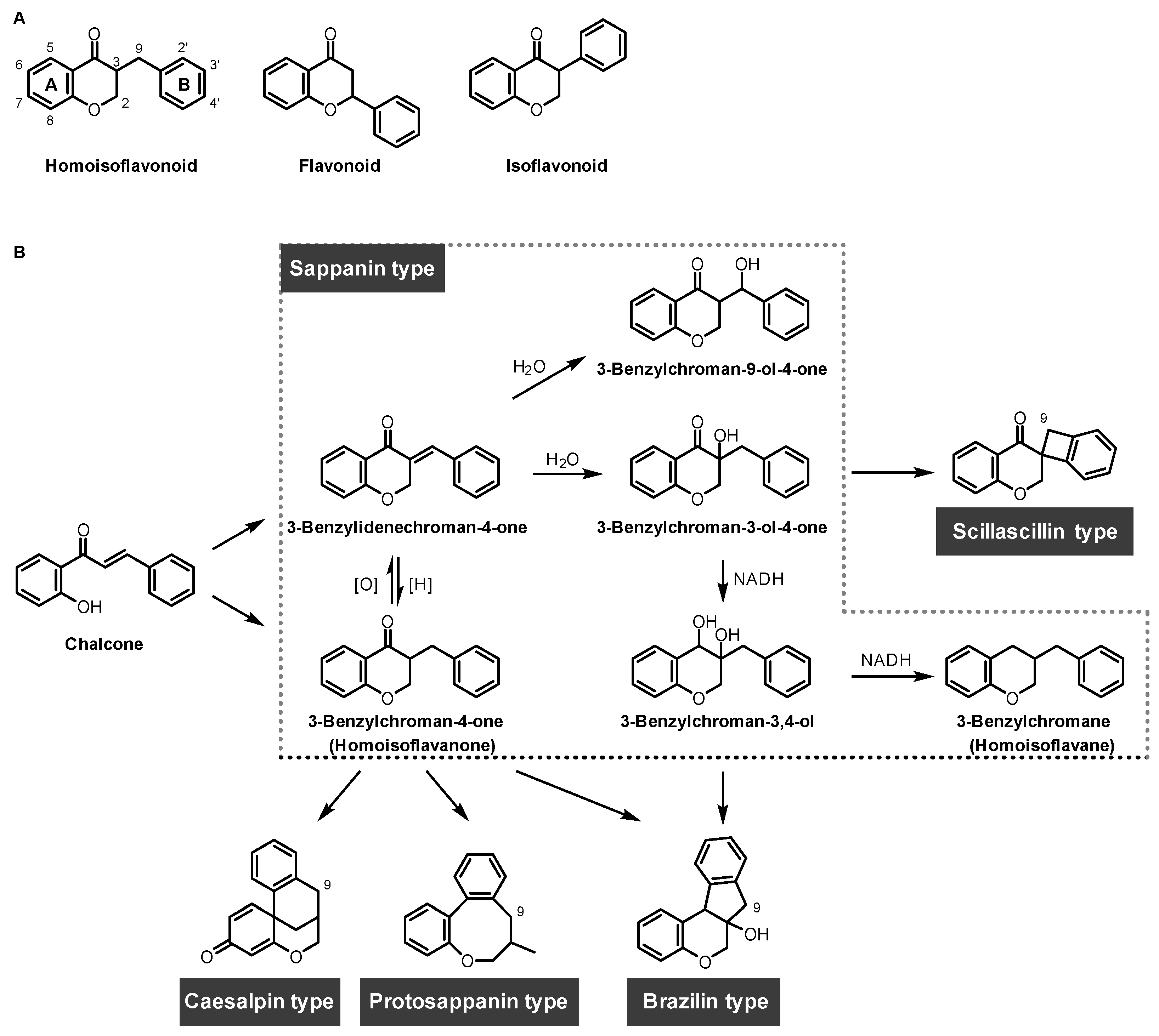 Biomolecules 14 00785 g003