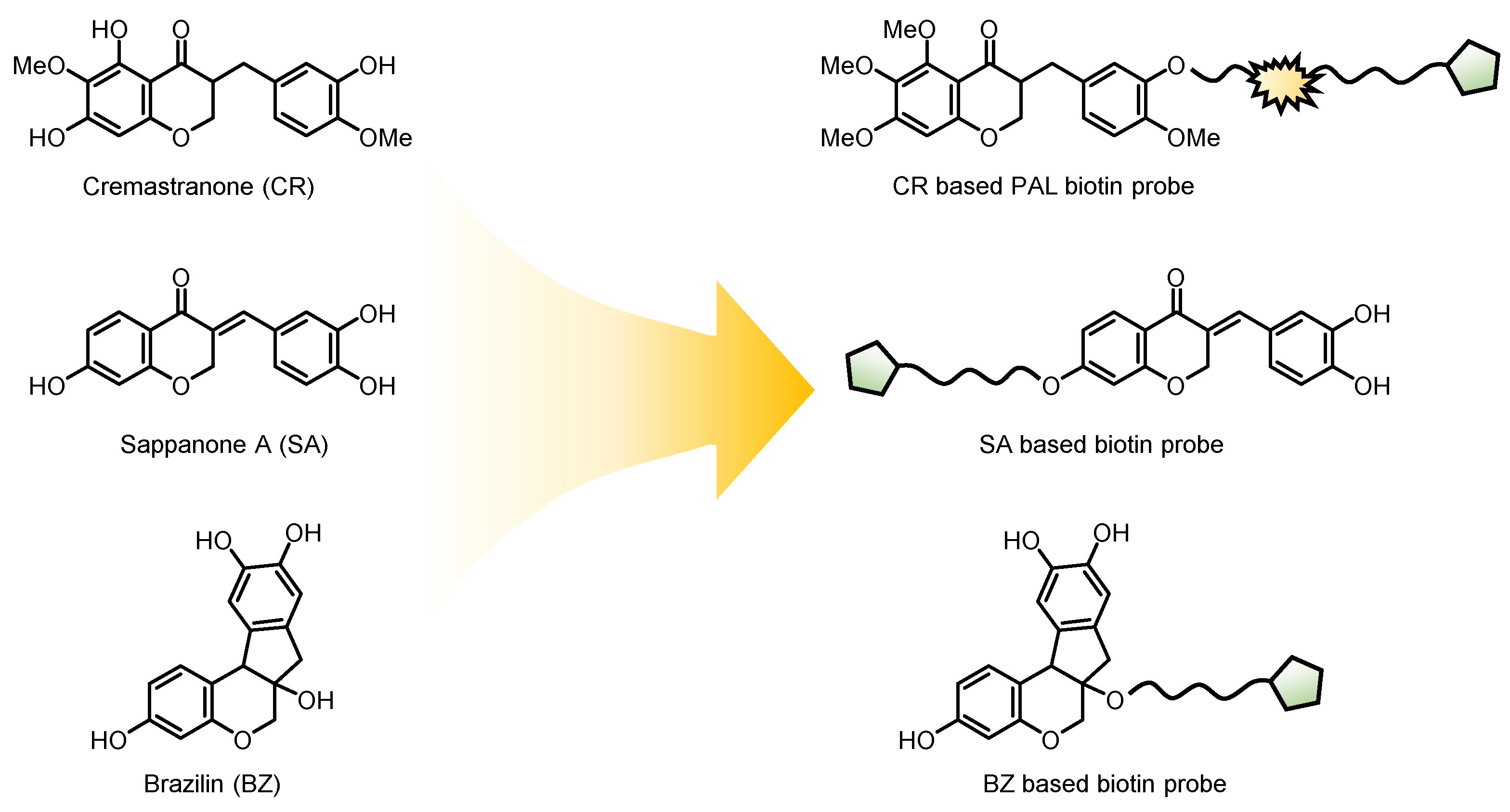 Biomolecules 14 00785 g004