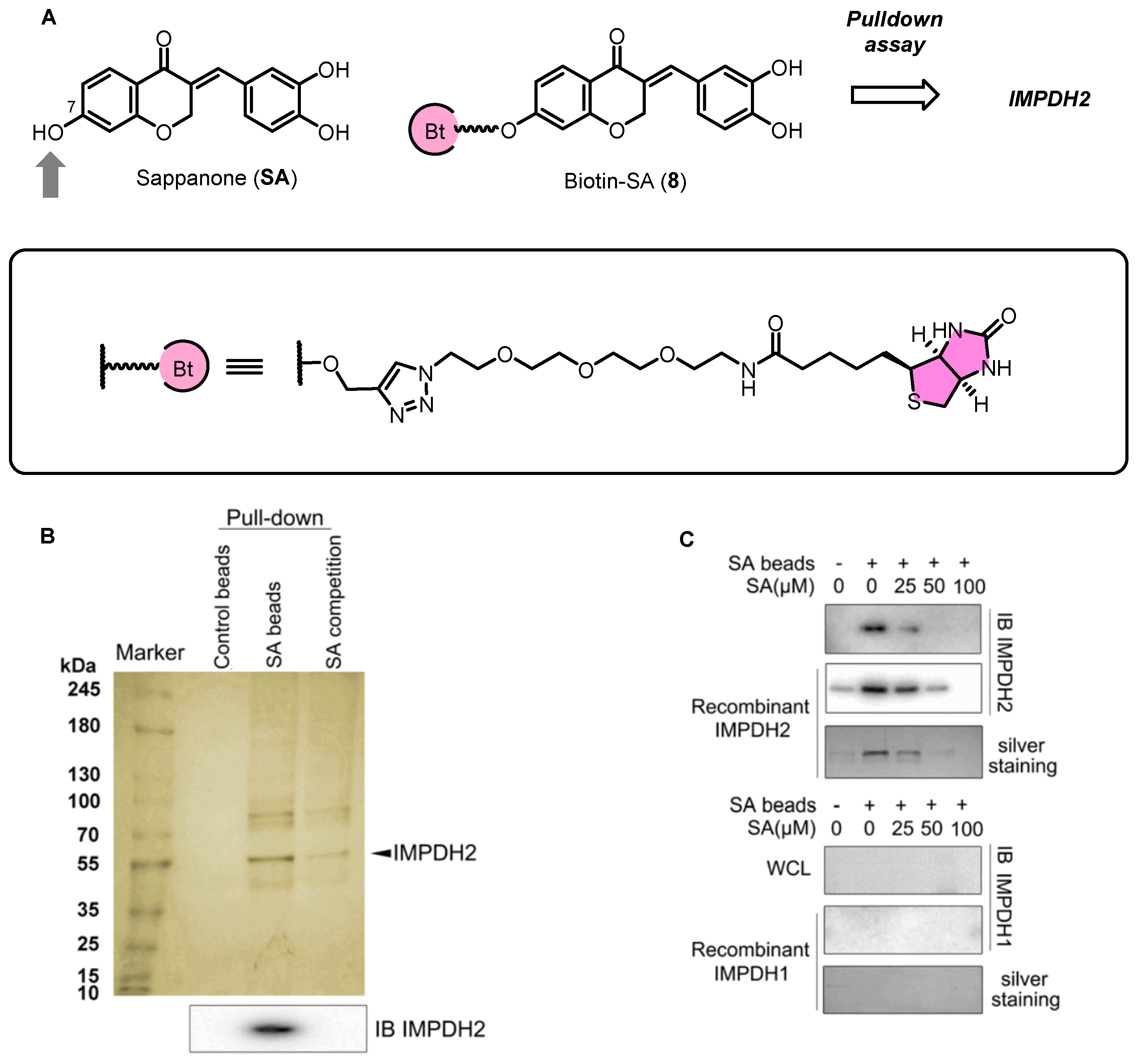 Biomolecules 14 00785 g010