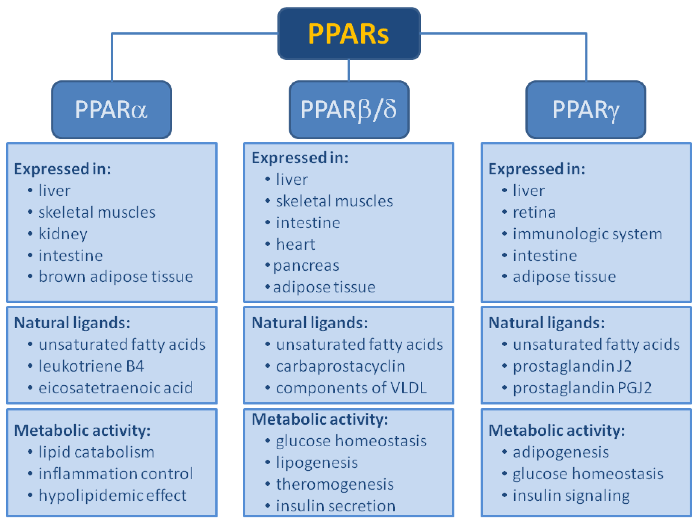 Biomolecules 14 00786 g002