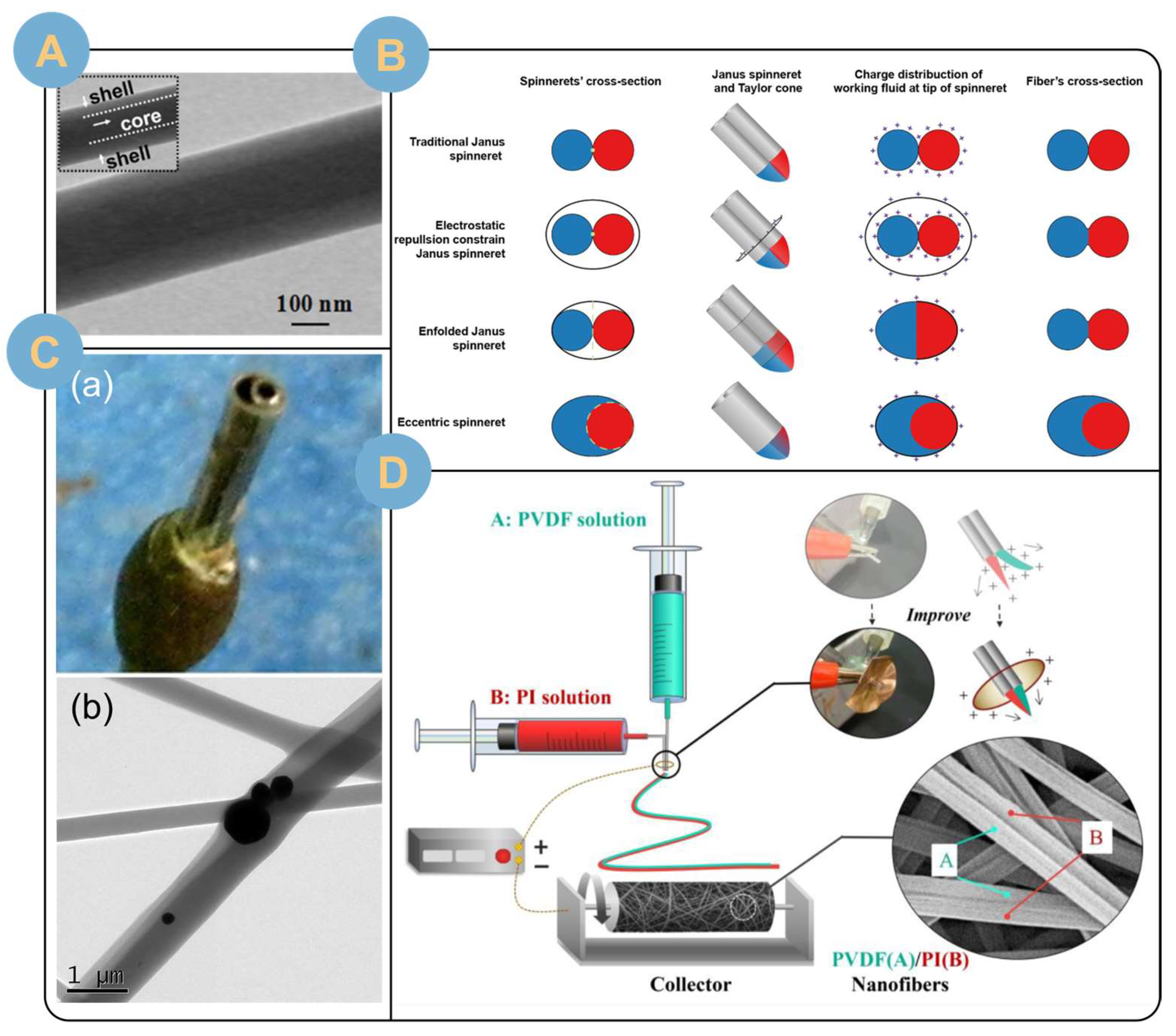 Biomolecules 14 00789 g005
