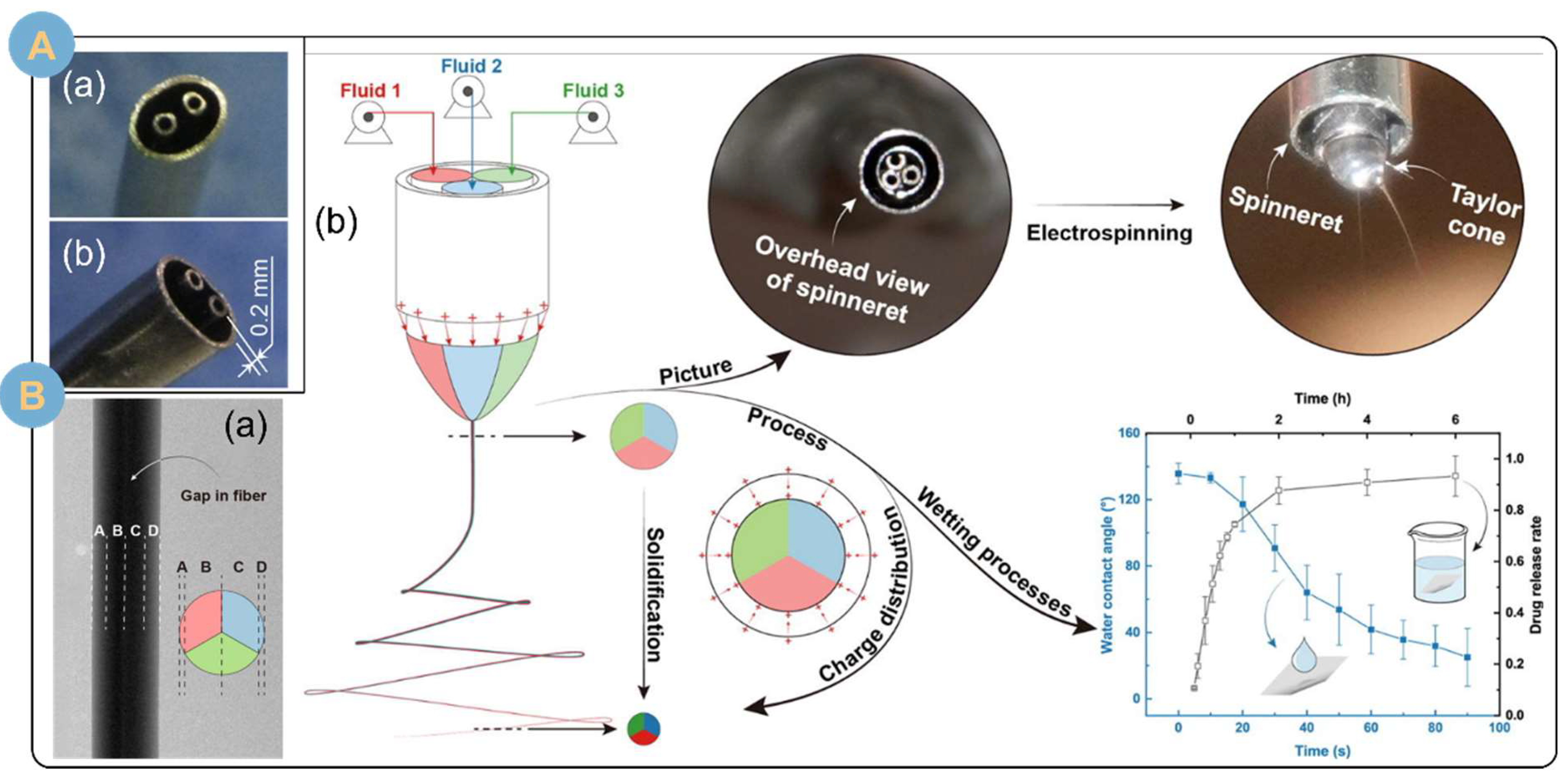 Biomolecules 14 00789 g006