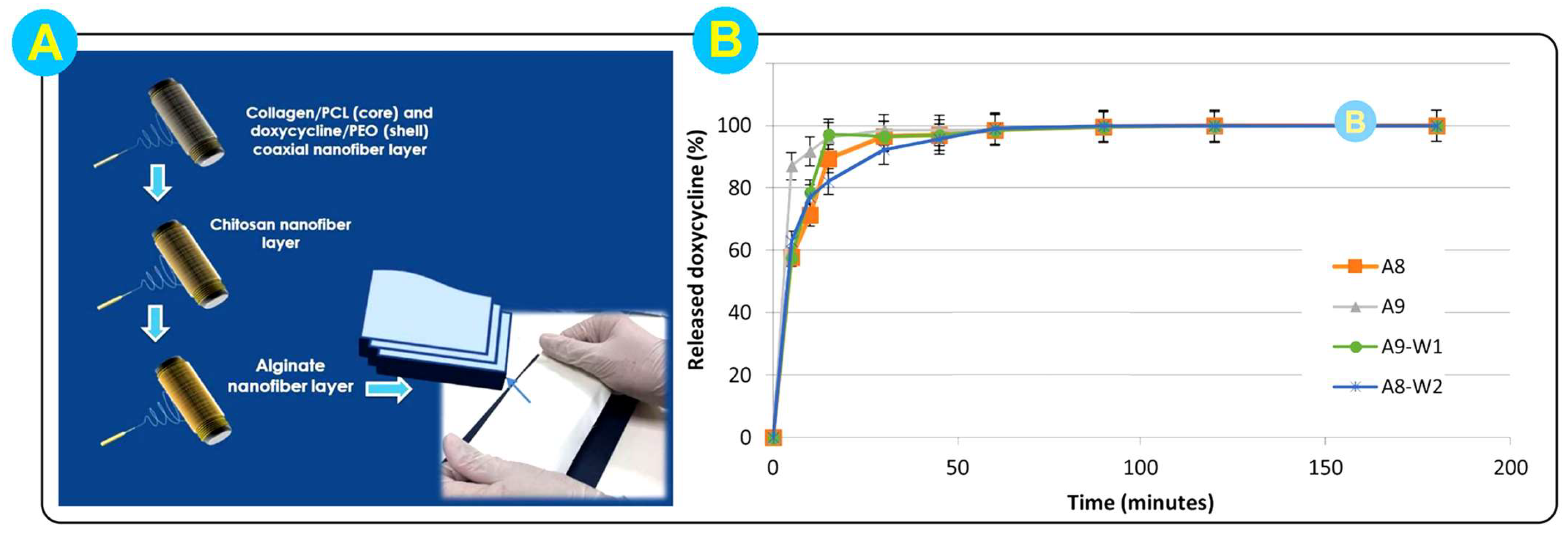 Biomolecules 14 00789 g008