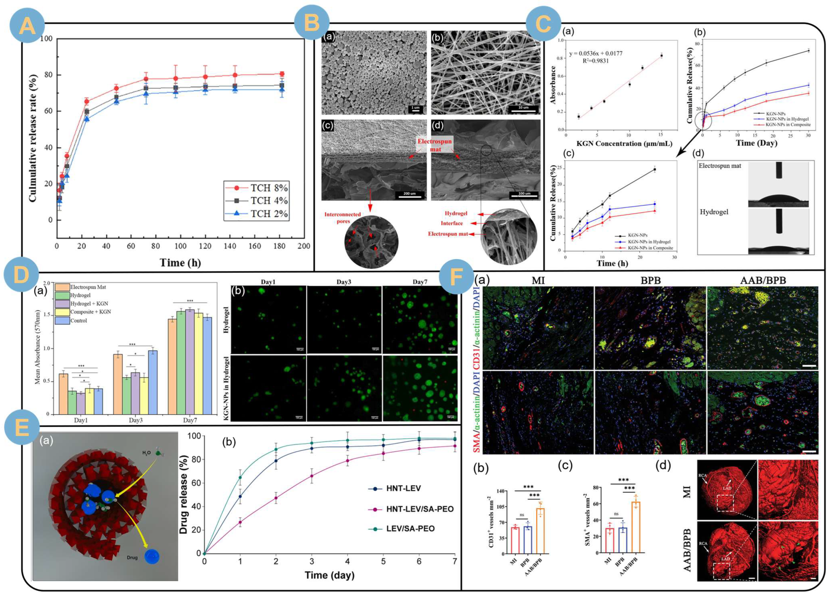 Biomolecules 14 00789 g009