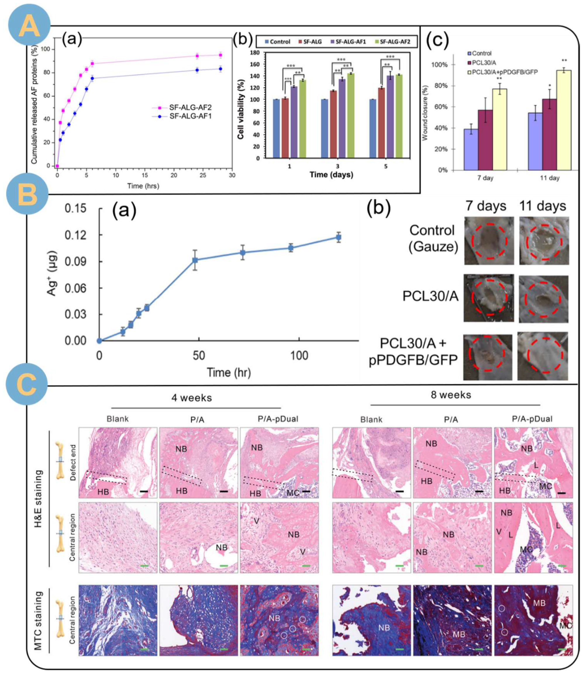 Biomolecules 14 00789 g010
