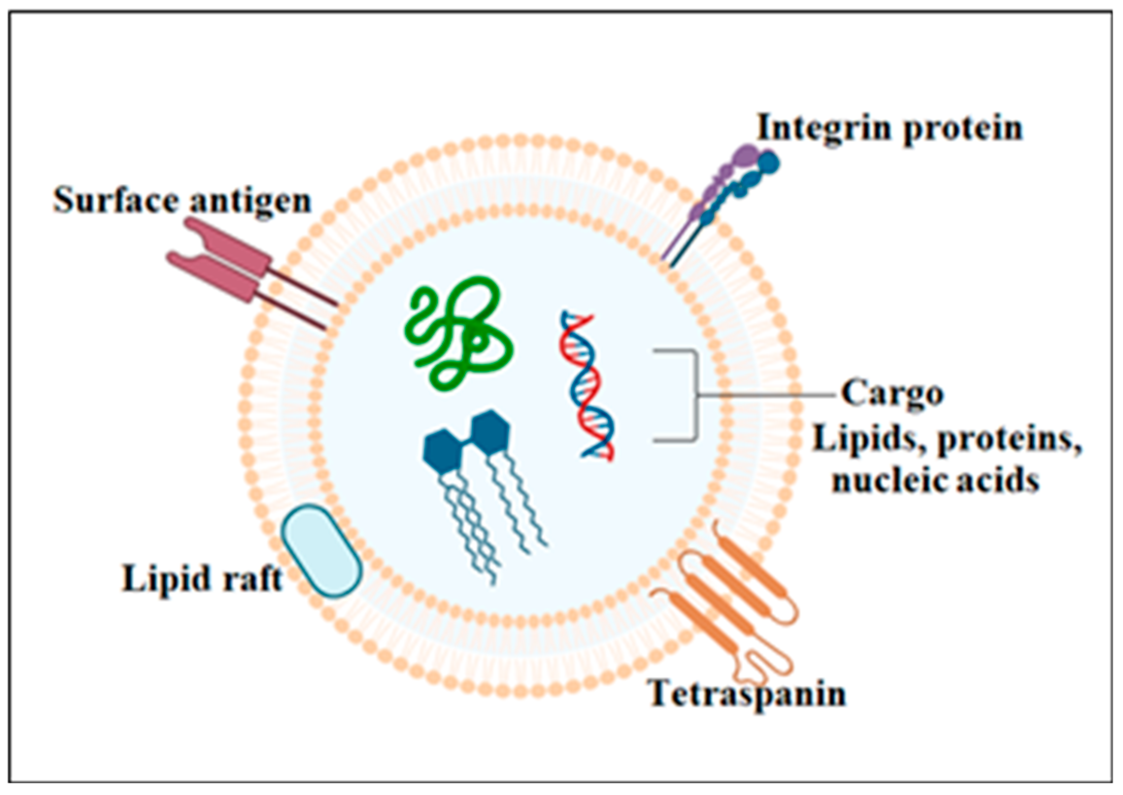 Biomolecules 14 00792 g001