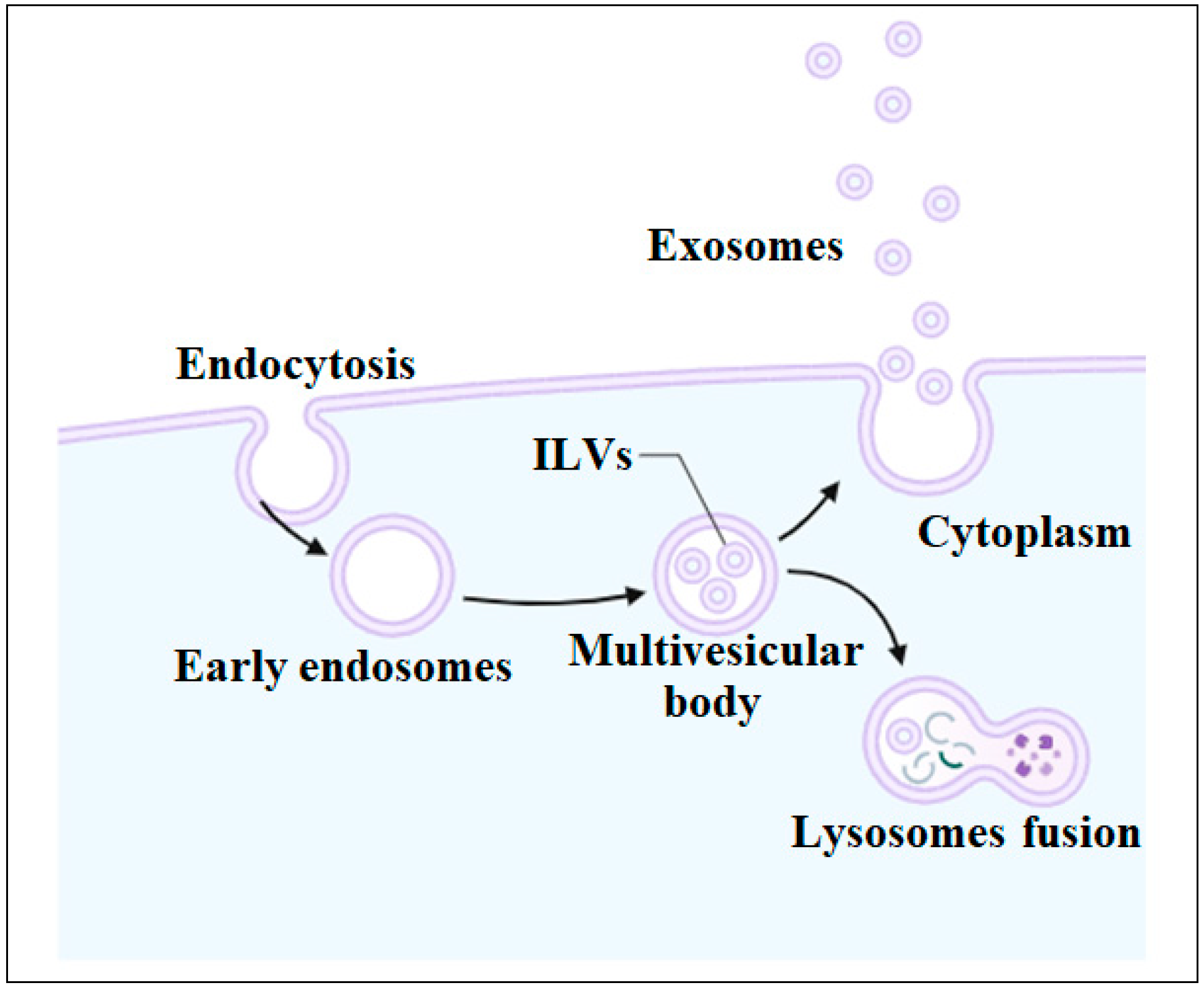 Biomolecules 14 00792 g002