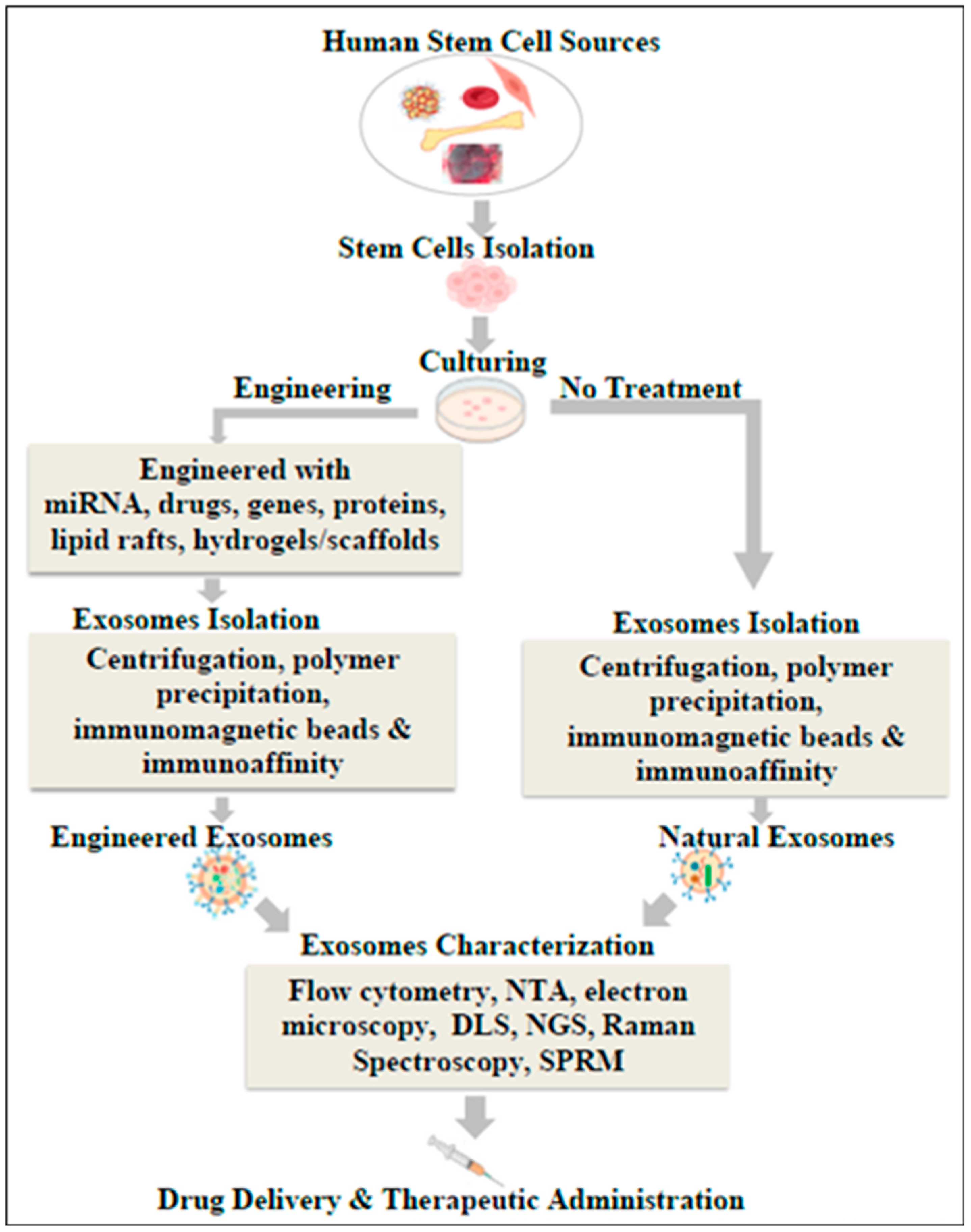 Biomolecules 14 00792 g003
