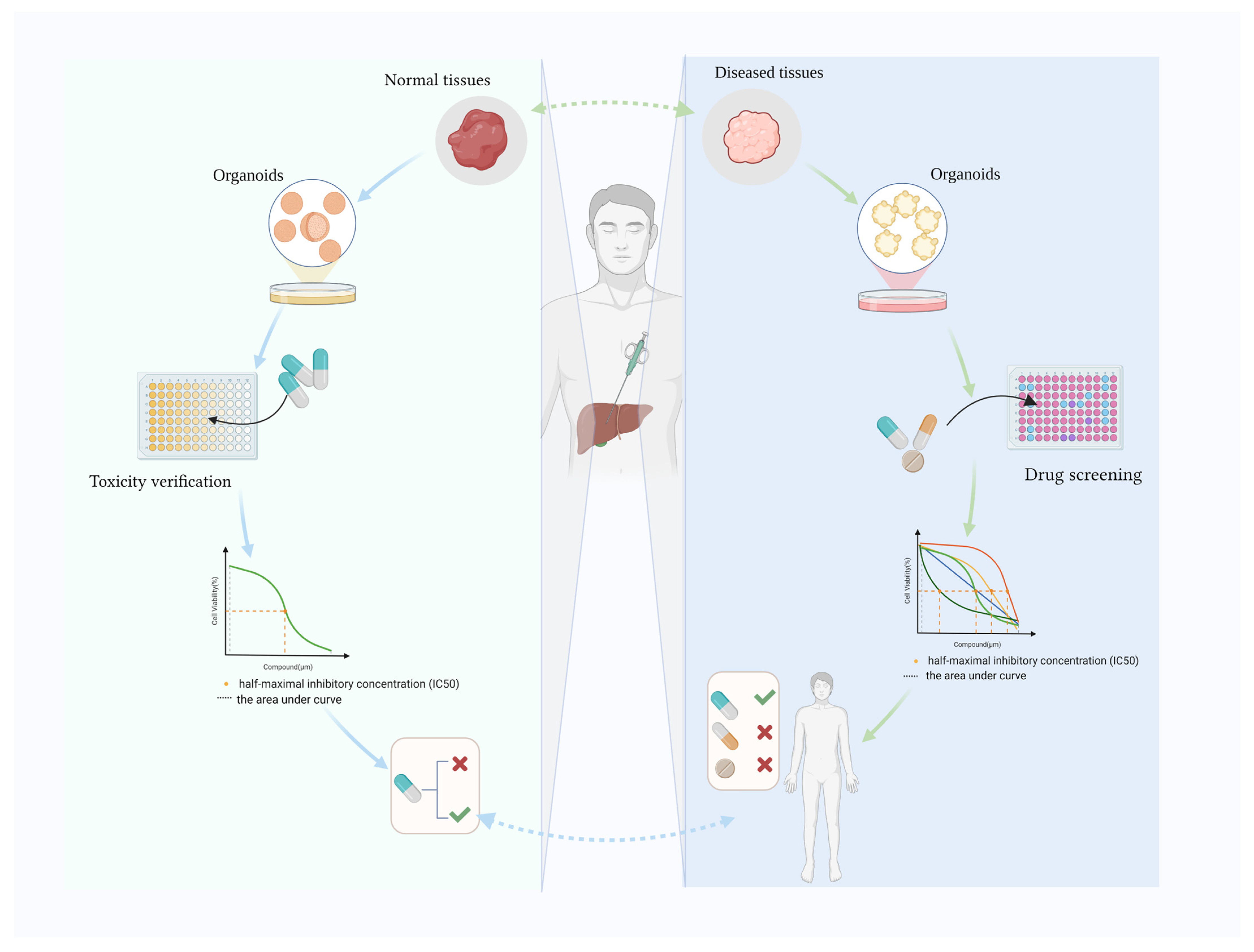 Biomolecules 14 00794 g001