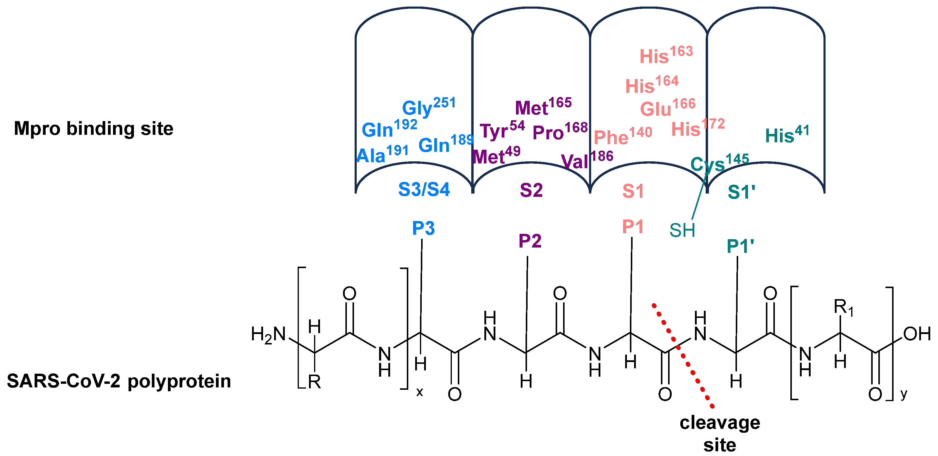 Biomolecules 14 00797 g002