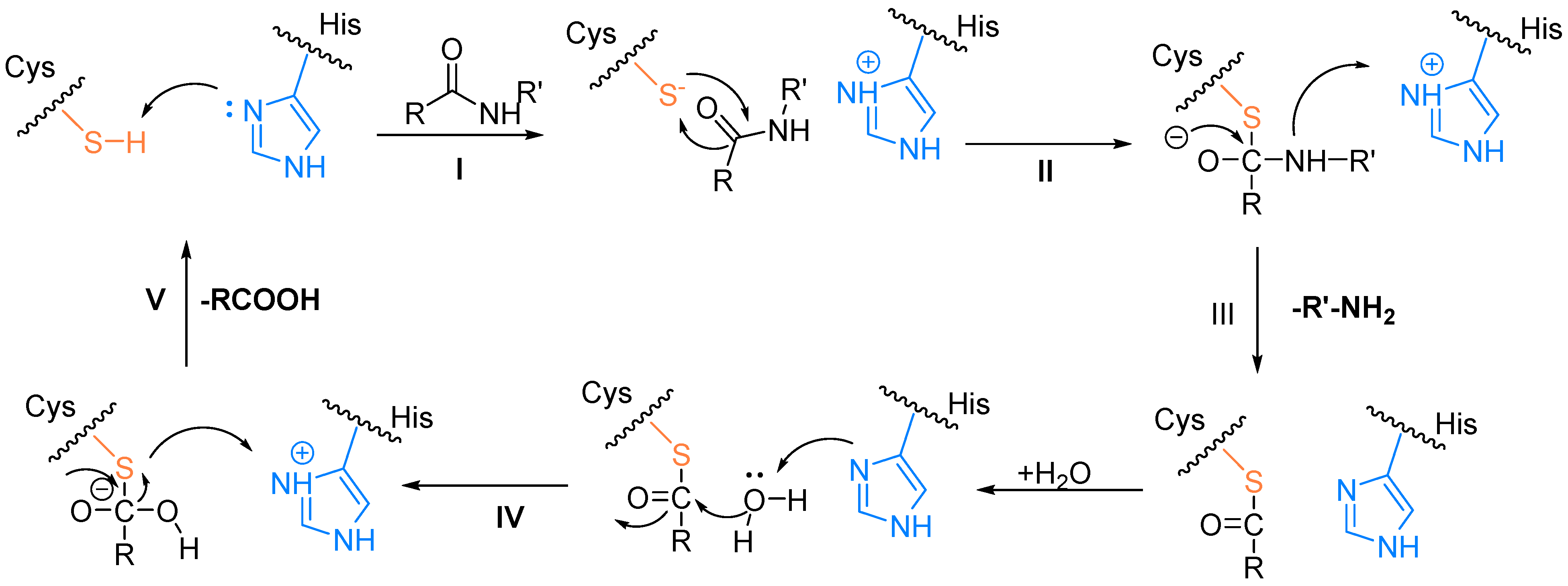 Biomolecules 14 00797 g003