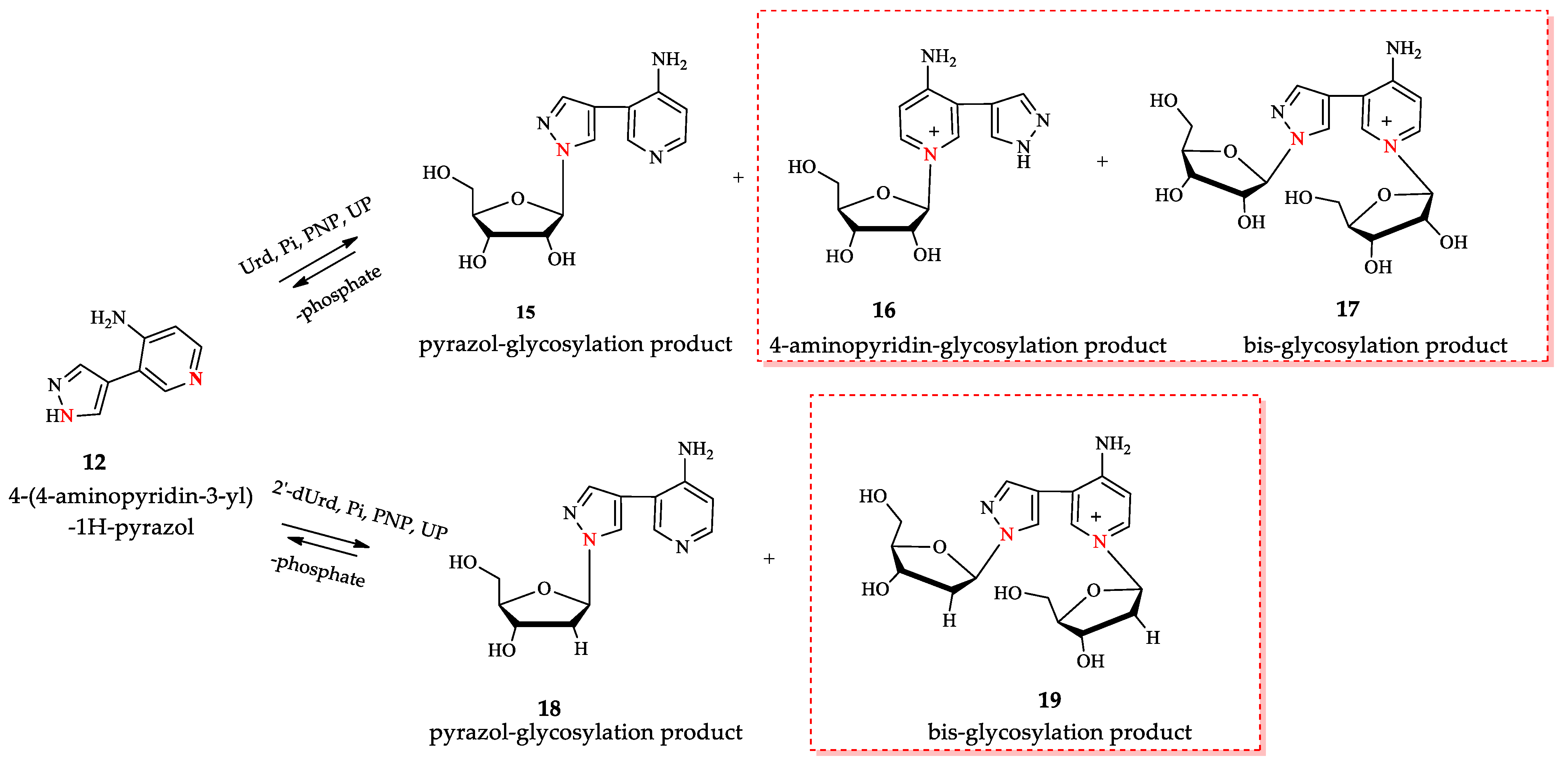 Biomolecules 14 00798 g005