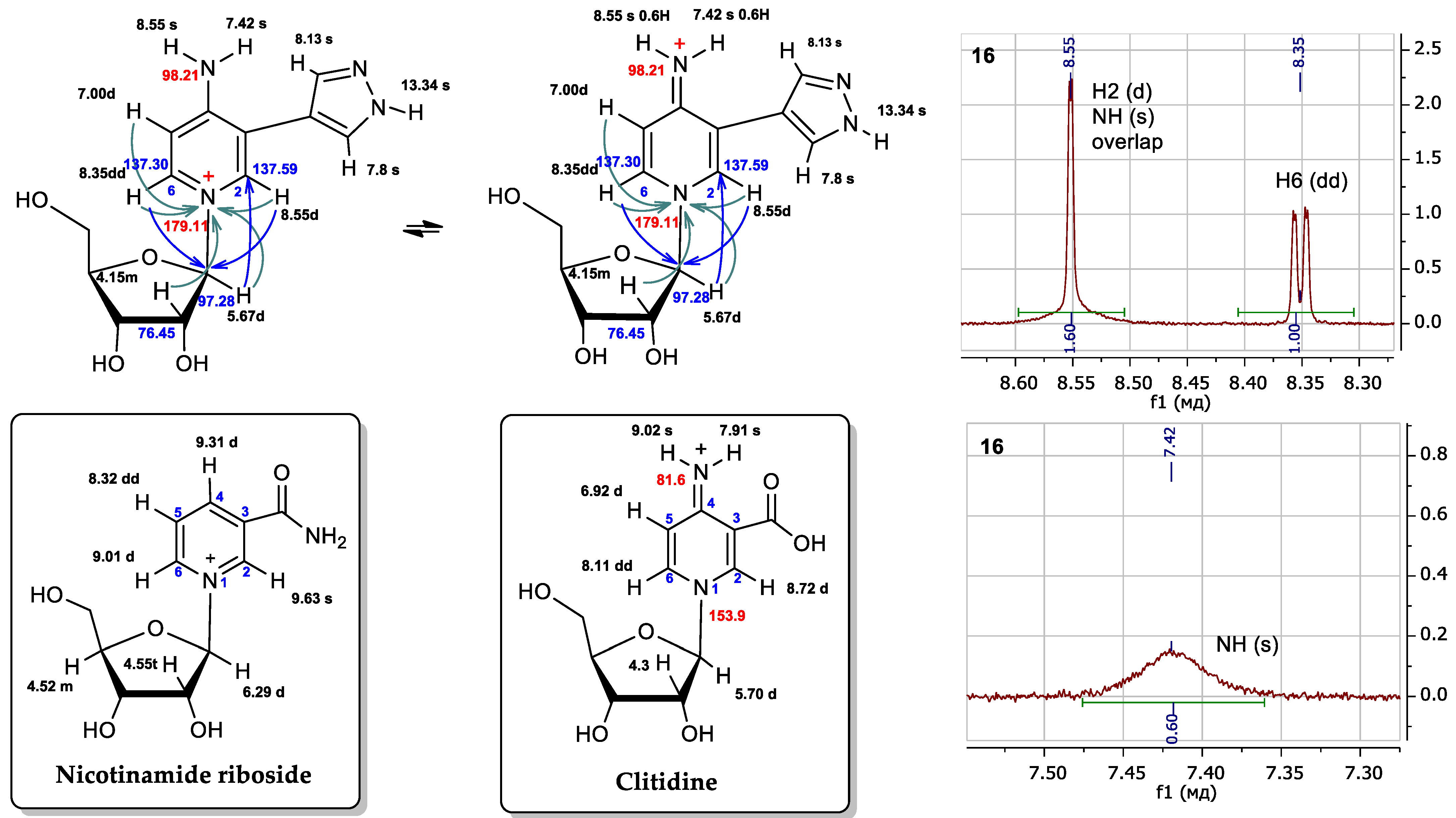 Biomolecules 14 00798 g008