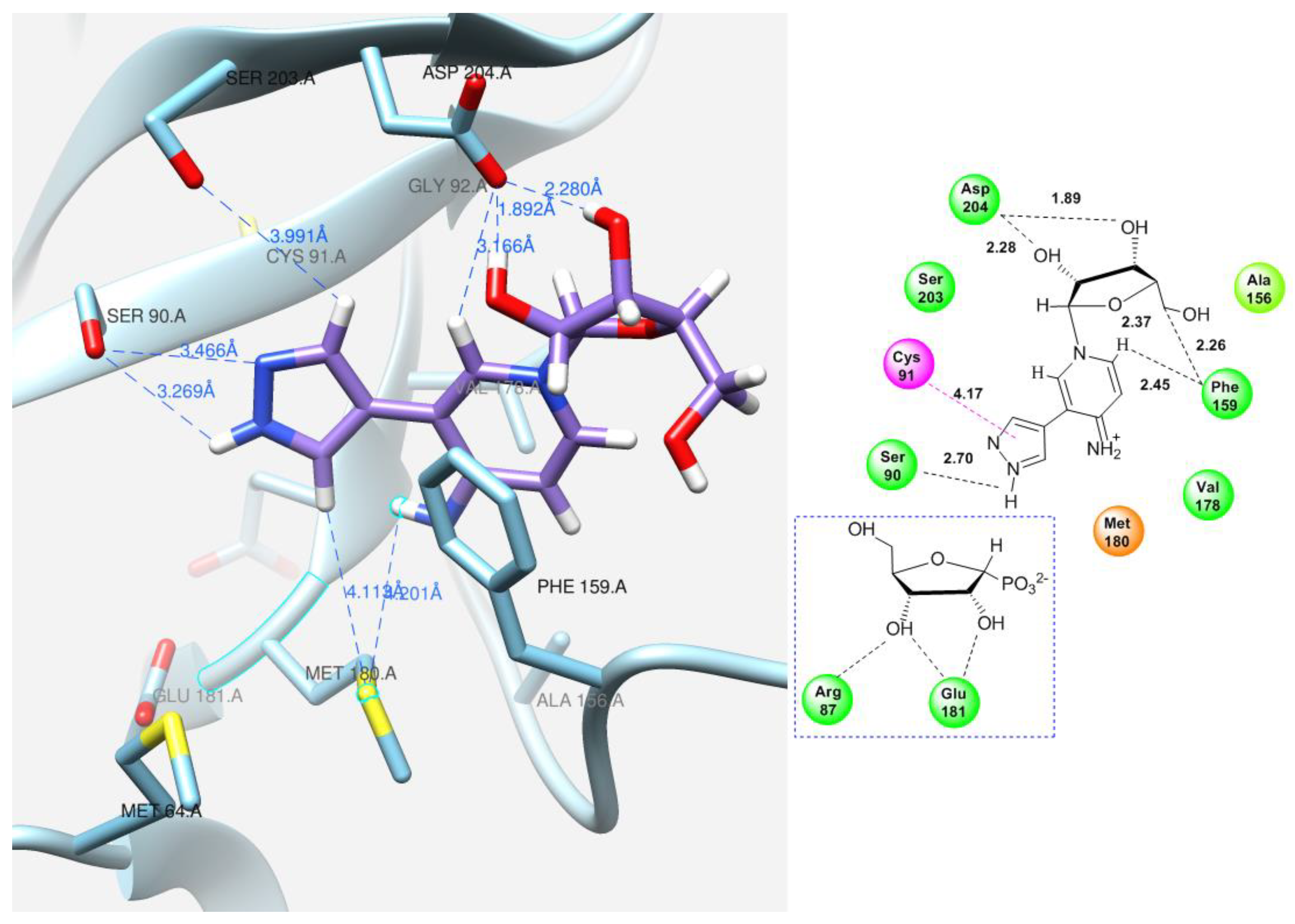 Biomolecules 14 00798 g013